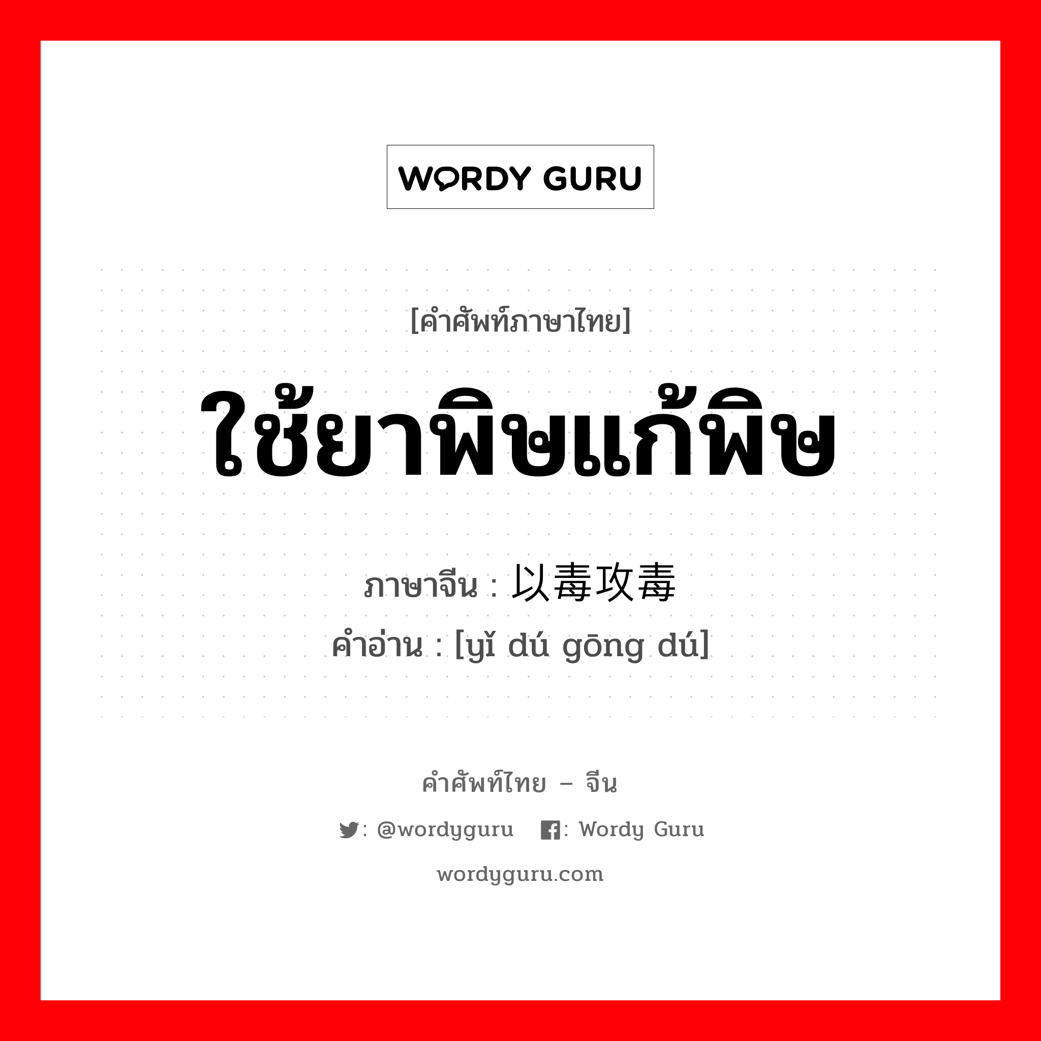 ใช้ยาพิษแก้พิษ ภาษาจีนคืออะไร, คำศัพท์ภาษาไทย - จีน ใช้ยาพิษแก้พิษ ภาษาจีน 以毒攻毒 คำอ่าน [yǐ dú gōng dú]