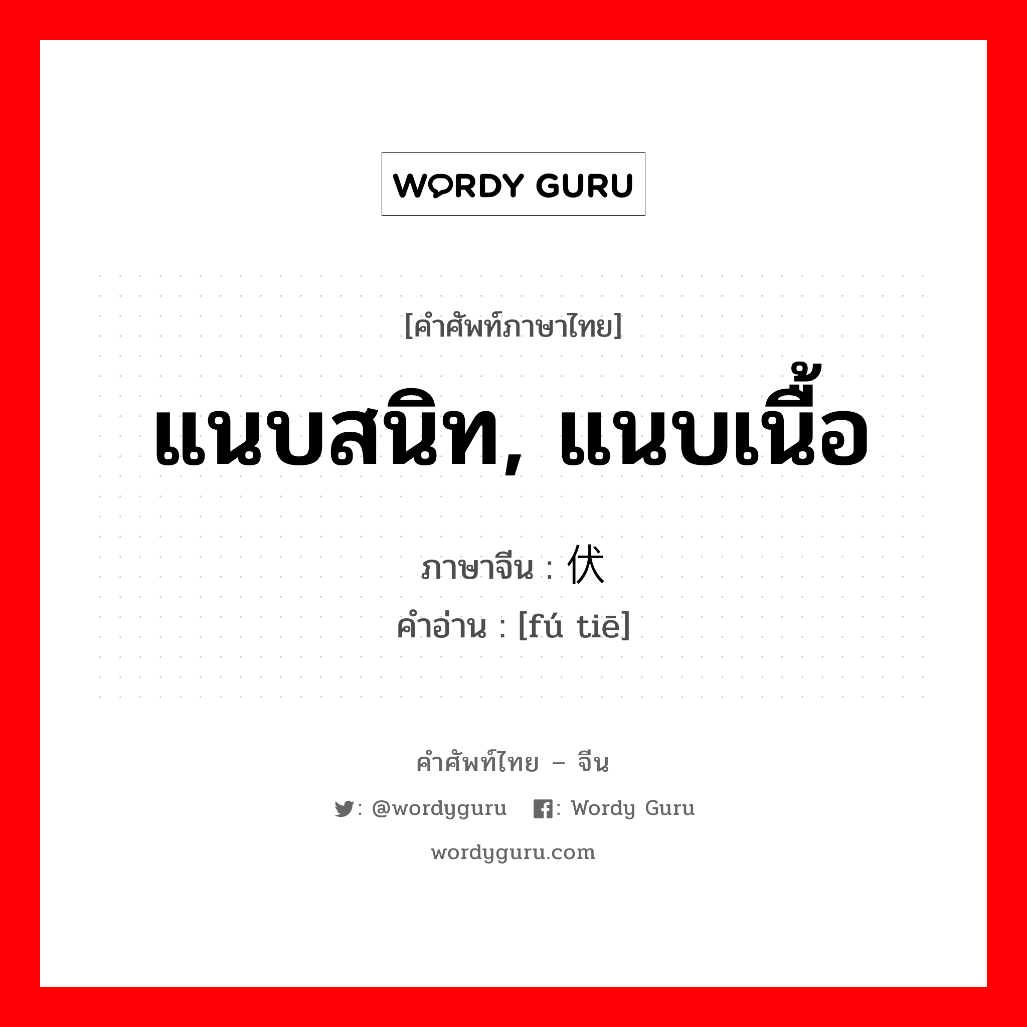 แนบสนิท, แนบเนื้อ ภาษาจีนคืออะไร, คำศัพท์ภาษาไทย - จีน แนบสนิท, แนบเนื้อ ภาษาจีน 伏贴 คำอ่าน [fú tiē]