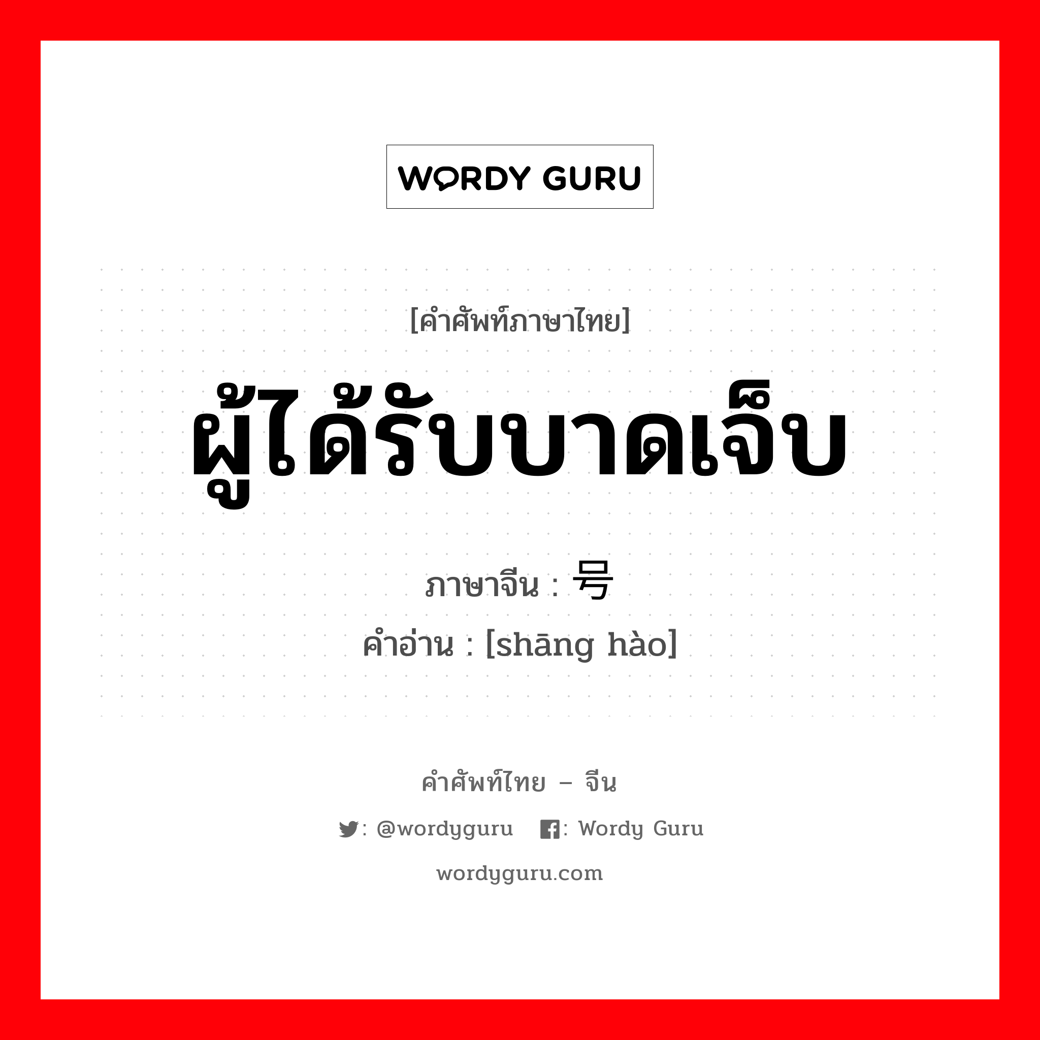 ผู้ได้รับบาดเจ็บ ภาษาจีนคืออะไร, คำศัพท์ภาษาไทย - จีน ผู้ได้รับบาดเจ็บ ภาษาจีน 伤号 คำอ่าน [shāng hào]