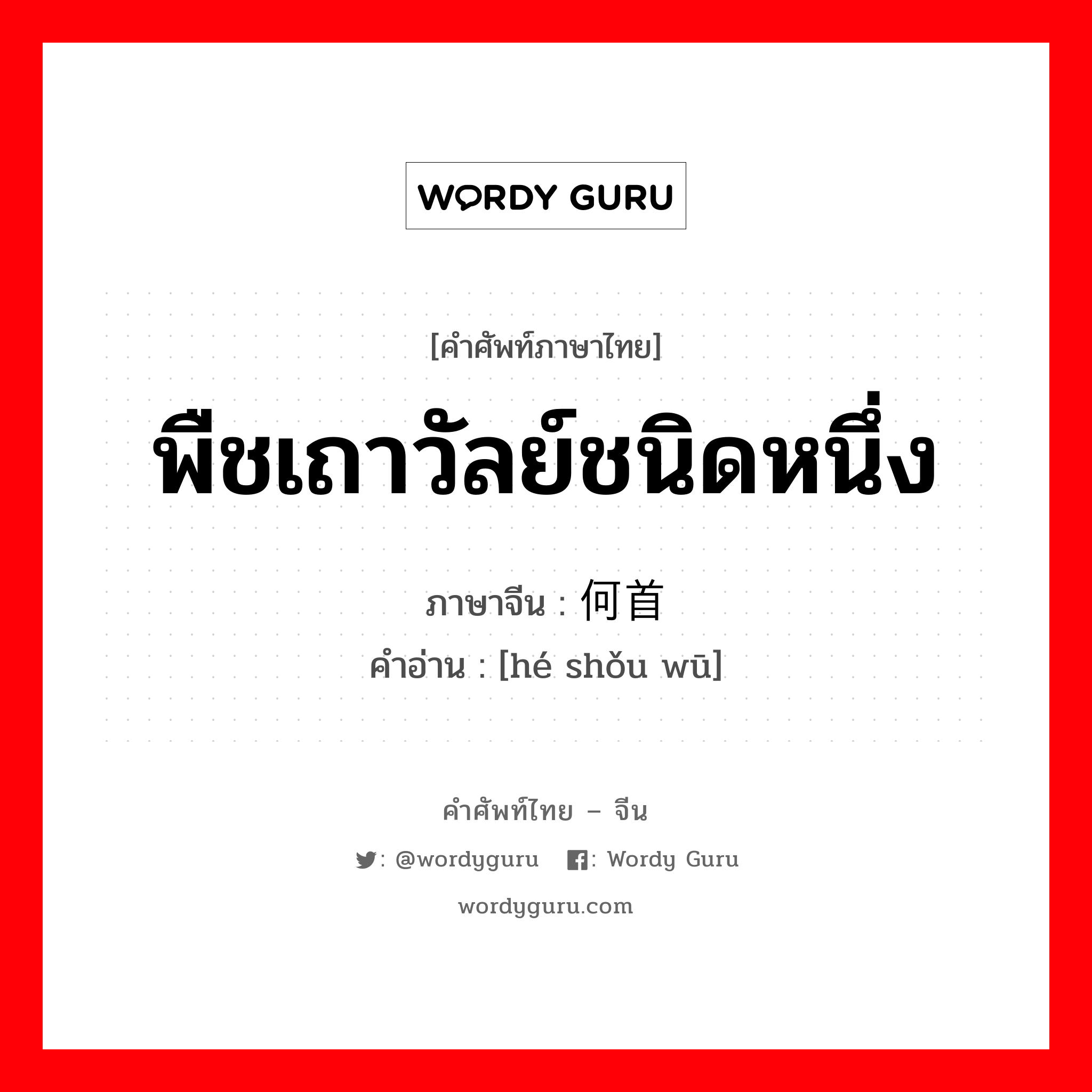 พืชเถาวัลย์ชนิดหนึ่ง ภาษาจีนคืออะไร, คำศัพท์ภาษาไทย - จีน พืชเถาวัลย์ชนิดหนึ่ง ภาษาจีน 何首乌 คำอ่าน [hé shǒu wū]