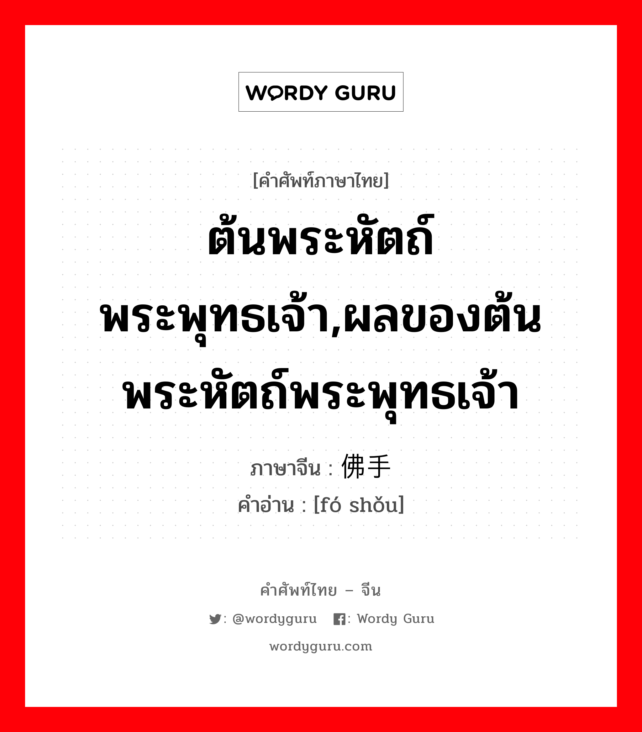 ต้นพระหัตถ์พระพุทธเจ้า,ผลของต้นพระหัตถ์พระพุทธเจ้า ภาษาจีนคืออะไร, คำศัพท์ภาษาไทย - จีน ต้นพระหัตถ์พระพุทธเจ้า,ผลของต้นพระหัตถ์พระพุทธเจ้า ภาษาจีน 佛手 คำอ่าน [fó shǒu]