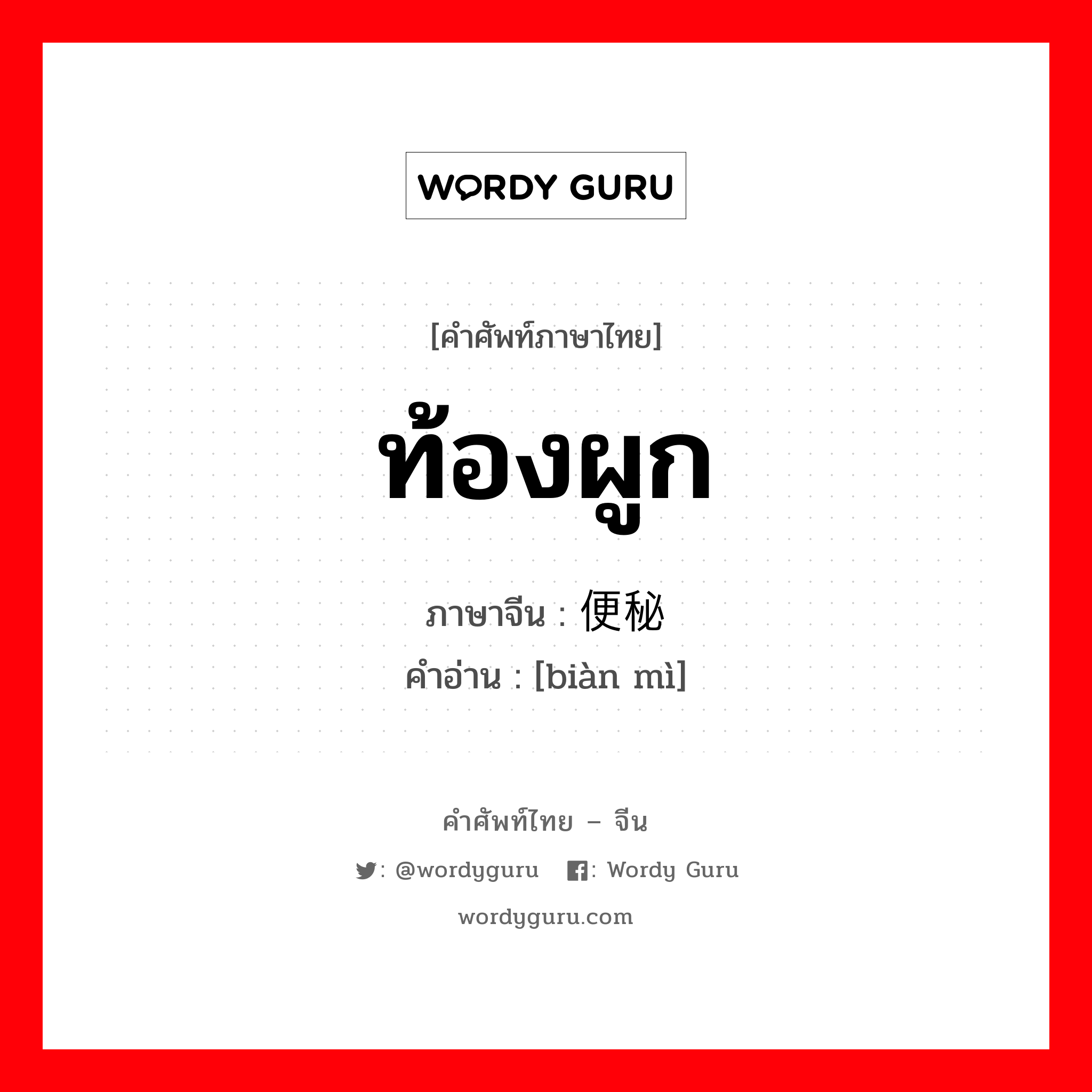 ท้องผูก ภาษาจีนคืออะไร, คำศัพท์ภาษาไทย - จีน ท้องผูก ภาษาจีน 便秘 คำอ่าน [biàn mì]