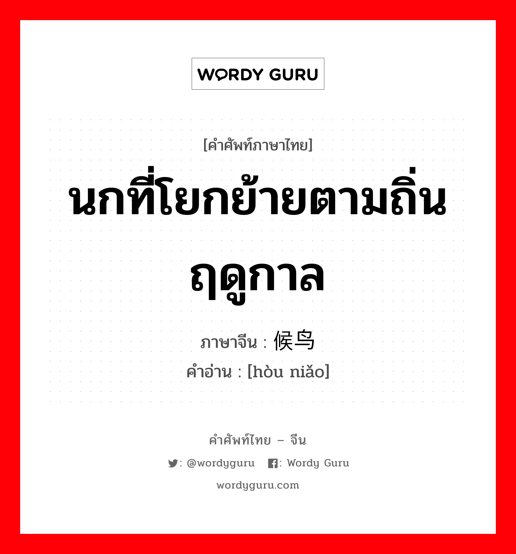 นกที่โยกย้ายตามถิ่นฤดูกาล ภาษาจีนคืออะไร, คำศัพท์ภาษาไทย - จีน นกที่โยกย้ายตามถิ่นฤดูกาล ภาษาจีน 候鸟 คำอ่าน [hòu niǎo]