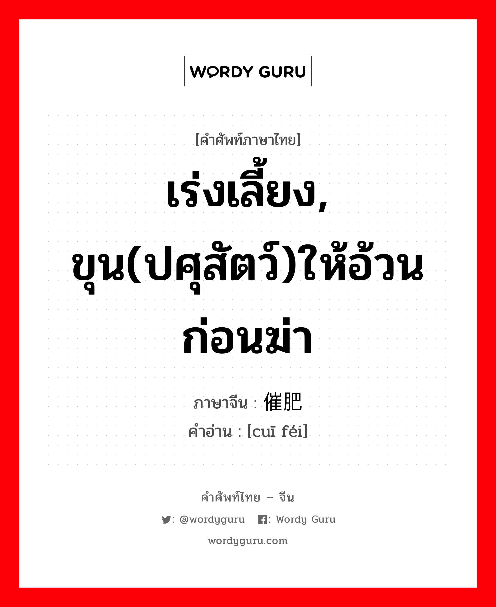 เร่งเลี้ยง, ขุน(ปศุสัตว์)ให้อ้วนก่อนฆ่า ภาษาจีนคืออะไร, คำศัพท์ภาษาไทย - จีน เร่งเลี้ยง, ขุน(ปศุสัตว์)ให้อ้วนก่อนฆ่า ภาษาจีน 催肥 คำอ่าน [cuī féi]