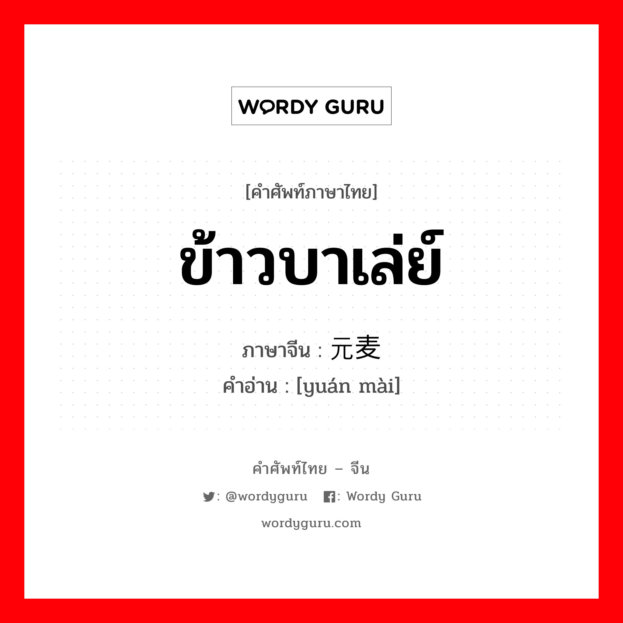 ข้าวบาเล่ย์ ภาษาจีนคืออะไร, คำศัพท์ภาษาไทย - จีน ข้าวบาเล่ย์ ภาษาจีน 元麦 คำอ่าน [yuán mài]