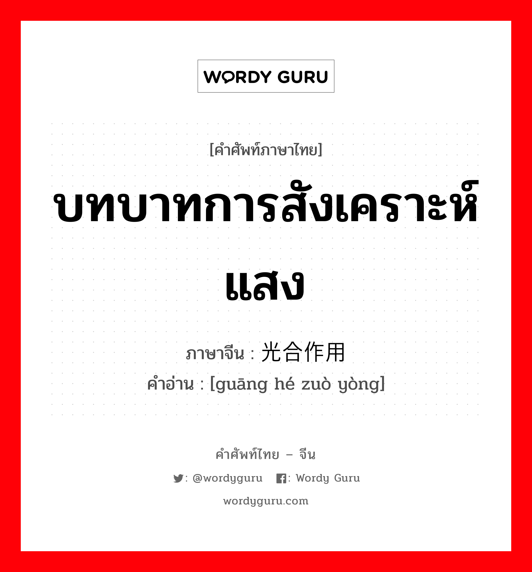 บทบาทการสังเคราะห์แสง ภาษาจีนคืออะไร, คำศัพท์ภาษาไทย - จีน บทบาทการสังเคราะห์แสง ภาษาจีน 光合作用 คำอ่าน [guāng hé zuò yòng]