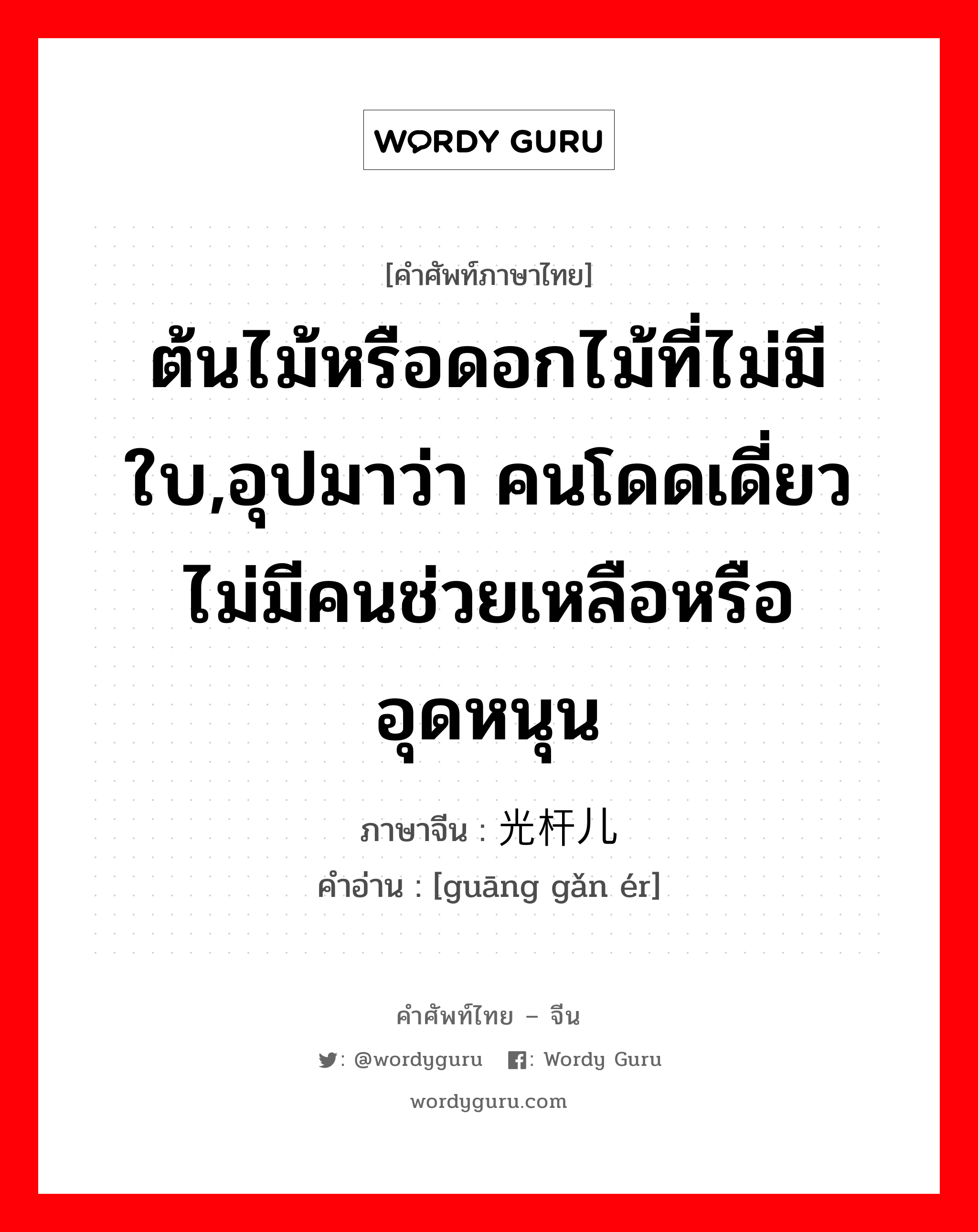 ต้นไม้หรือดอกไม้ที่ไม่มีใบ,อุปมาว่า คนโดดเดี่ยว ไม่มีคนช่วยเหลือหรืออุดหนุน ภาษาจีนคืออะไร, คำศัพท์ภาษาไทย - จีน ต้นไม้หรือดอกไม้ที่ไม่มีใบ,อุปมาว่า คนโดดเดี่ยว ไม่มีคนช่วยเหลือหรืออุดหนุน ภาษาจีน 光杆儿 คำอ่าน [guāng gǎn ér]