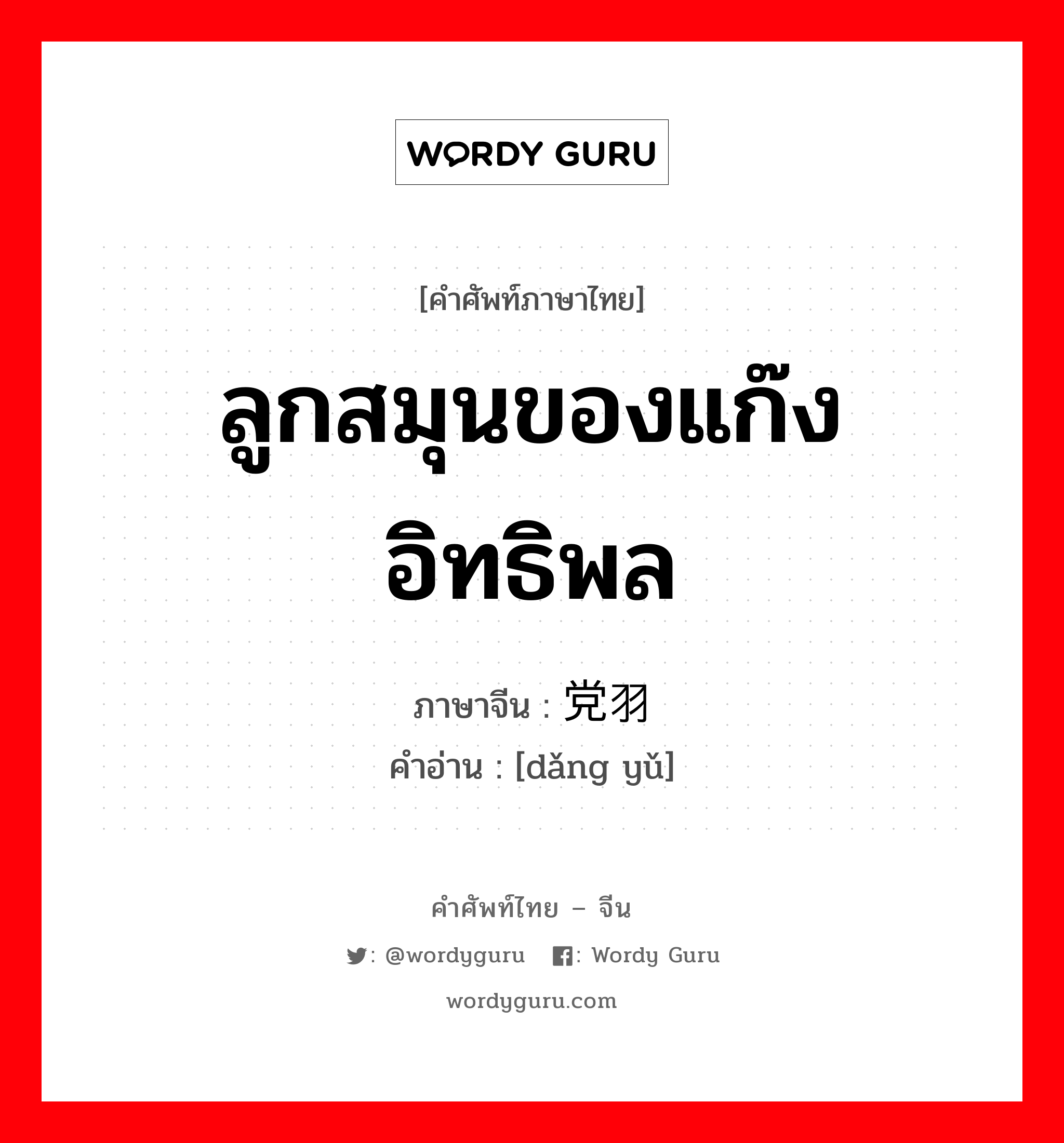 ลูกสมุนของแก๊งอิทธิพล ภาษาจีนคืออะไร, คำศัพท์ภาษาไทย - จีน ลูกสมุนของแก๊งอิทธิพล ภาษาจีน 党羽 คำอ่าน [dǎng yǔ]