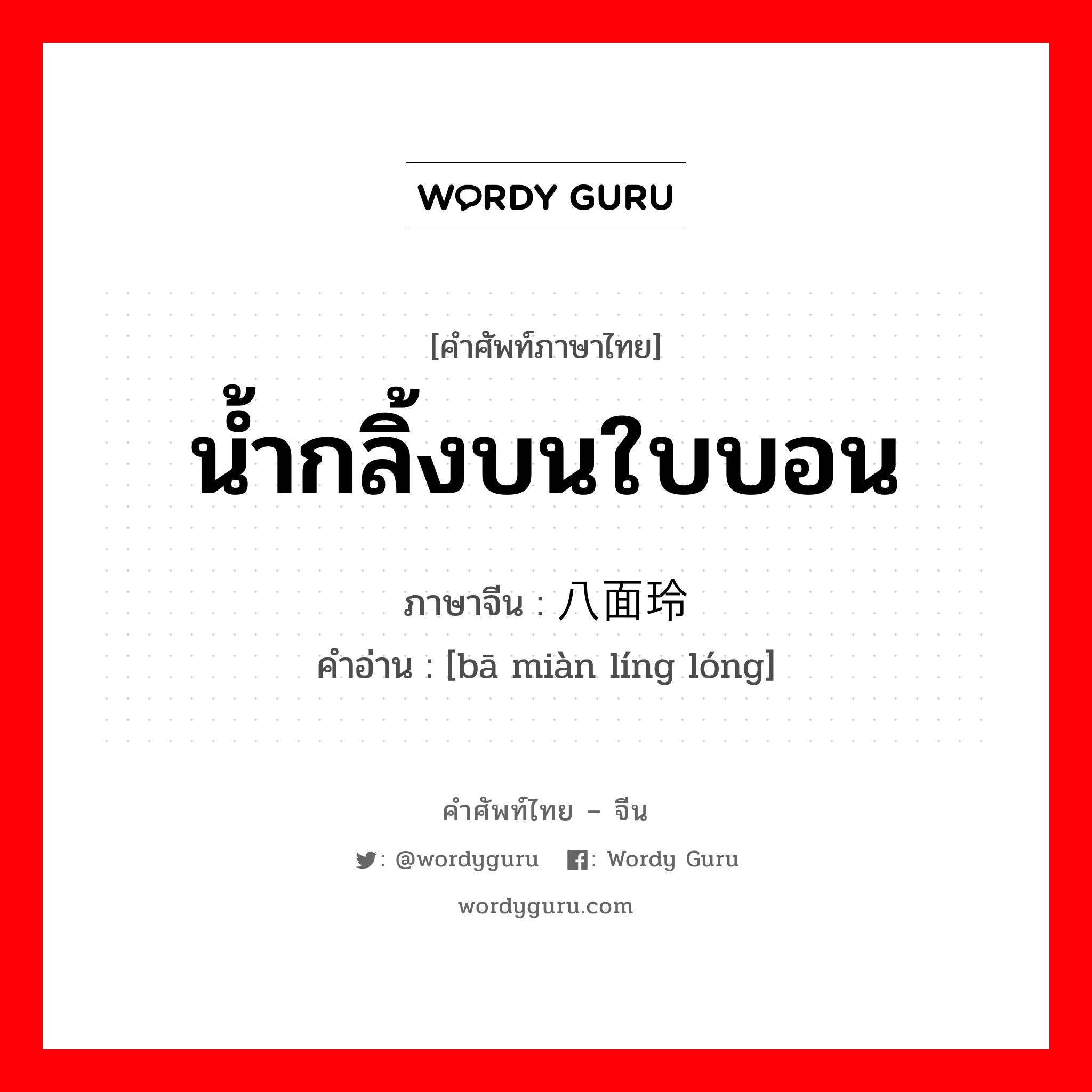 น้ำกลิ้งบนใบบอน ภาษาจีนคืออะไร, คำศัพท์ภาษาไทย - จีน น้ำกลิ้งบนใบบอน ภาษาจีน 八面玲珑 คำอ่าน [bā miàn líng lóng]