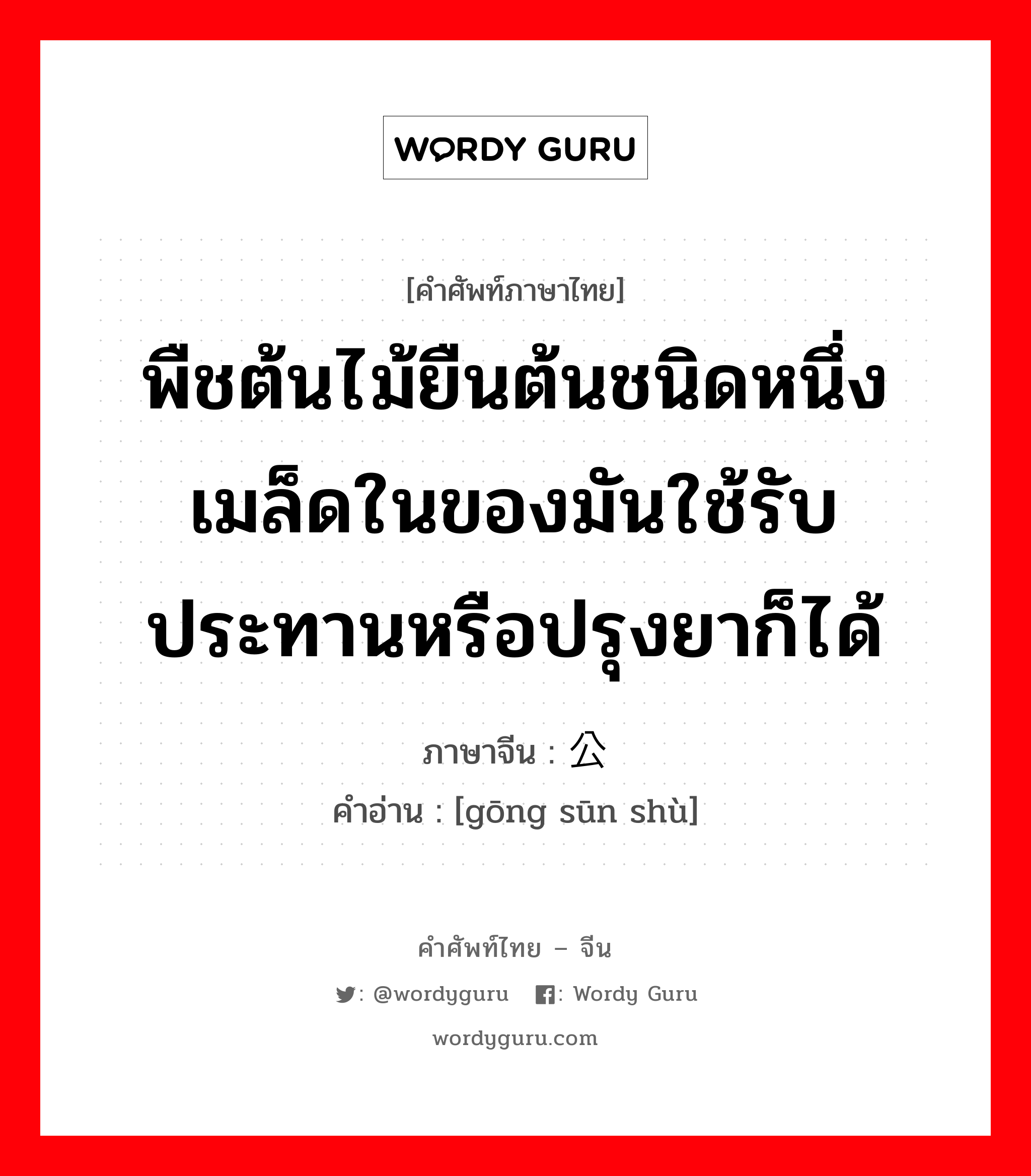 พืชต้นไม้ยืนต้นชนิดหนึ่ง เมล็ดในของมันใช้รับประทานหรือปรุงยาก็ได้ ภาษาจีนคืออะไร, คำศัพท์ภาษาไทย - จีน พืชต้นไม้ยืนต้นชนิดหนึ่ง เมล็ดในของมันใช้รับประทานหรือปรุงยาก็ได้ ภาษาจีน 公孙树 คำอ่าน [gōng sūn shù]