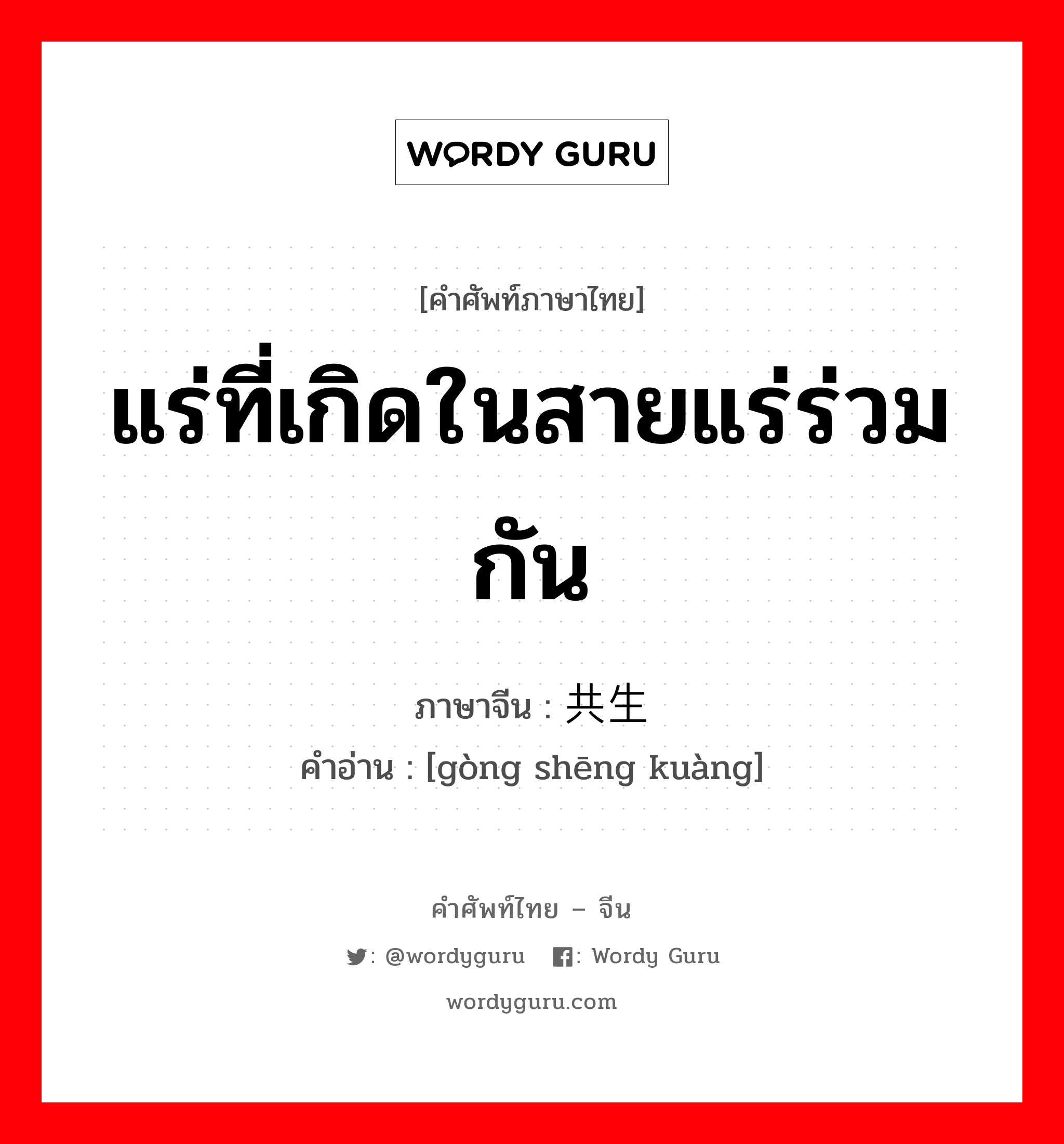 แร่ที่เกิดในสายแร่ร่วมกัน ภาษาจีนคืออะไร, คำศัพท์ภาษาไทย - จีน แร่ที่เกิดในสายแร่ร่วมกัน ภาษาจีน 共生矿 คำอ่าน [gòng shēng kuàng]