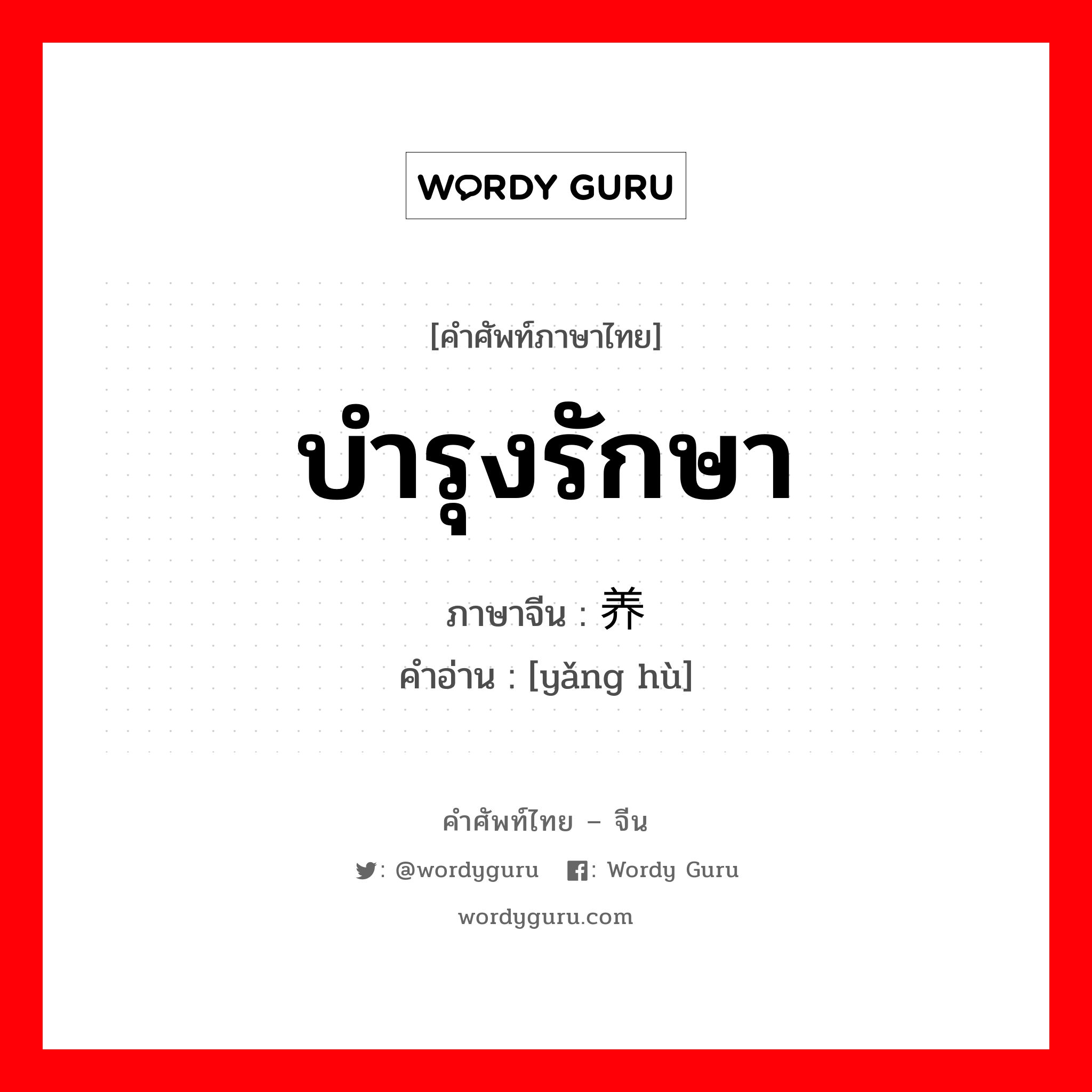 บำรุงรักษา ภาษาจีนคืออะไร, คำศัพท์ภาษาไทย - จีน บำรุงรักษา ภาษาจีน 养护 คำอ่าน [yǎng hù]