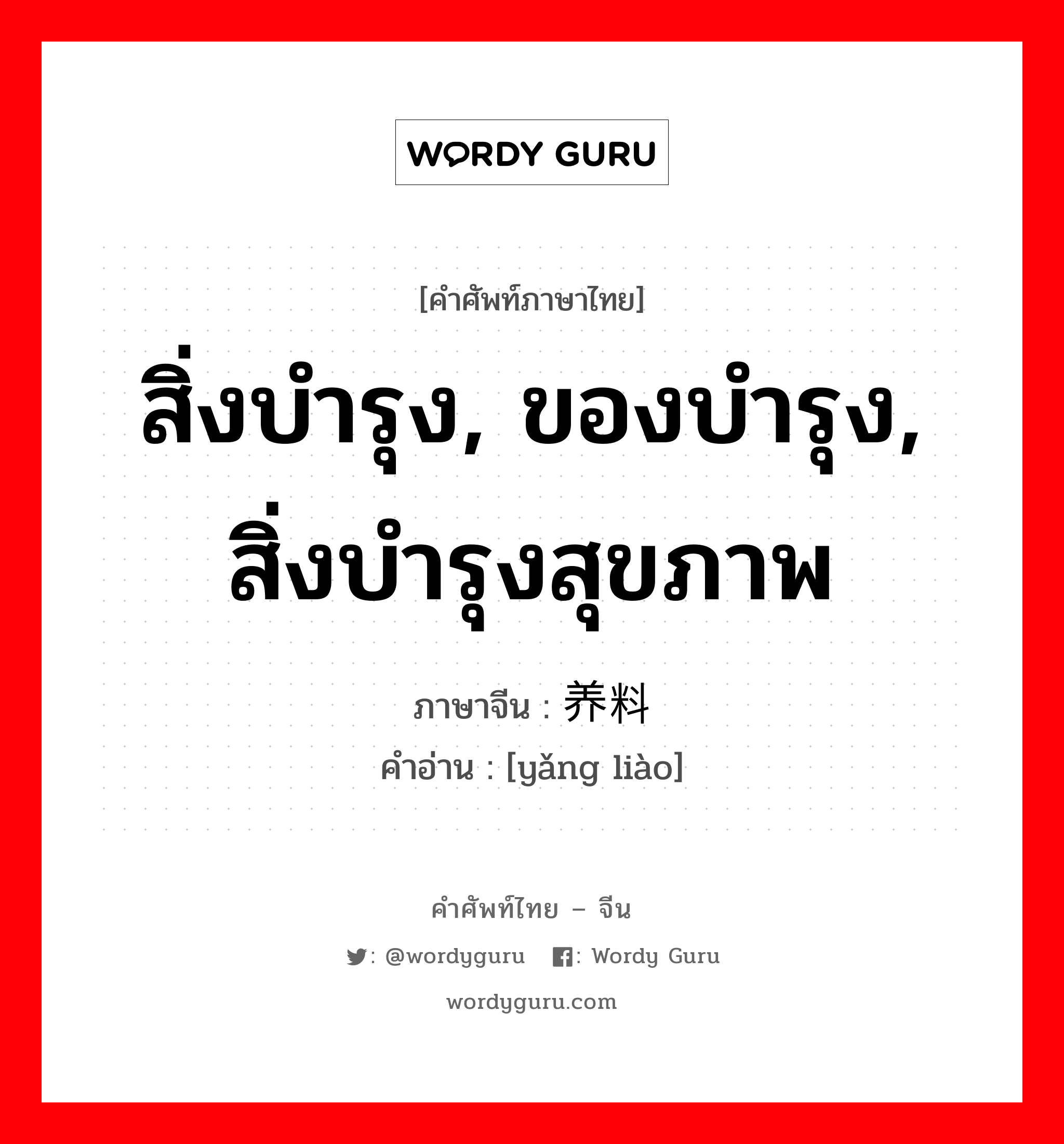 สิ่งบำรุง, ของบำรุง, สิ่งบำรุงสุขภาพ ภาษาจีนคืออะไร, คำศัพท์ภาษาไทย - จีน สิ่งบำรุง, ของบำรุง, สิ่งบำรุงสุขภาพ ภาษาจีน 养料 คำอ่าน [yǎng liào]