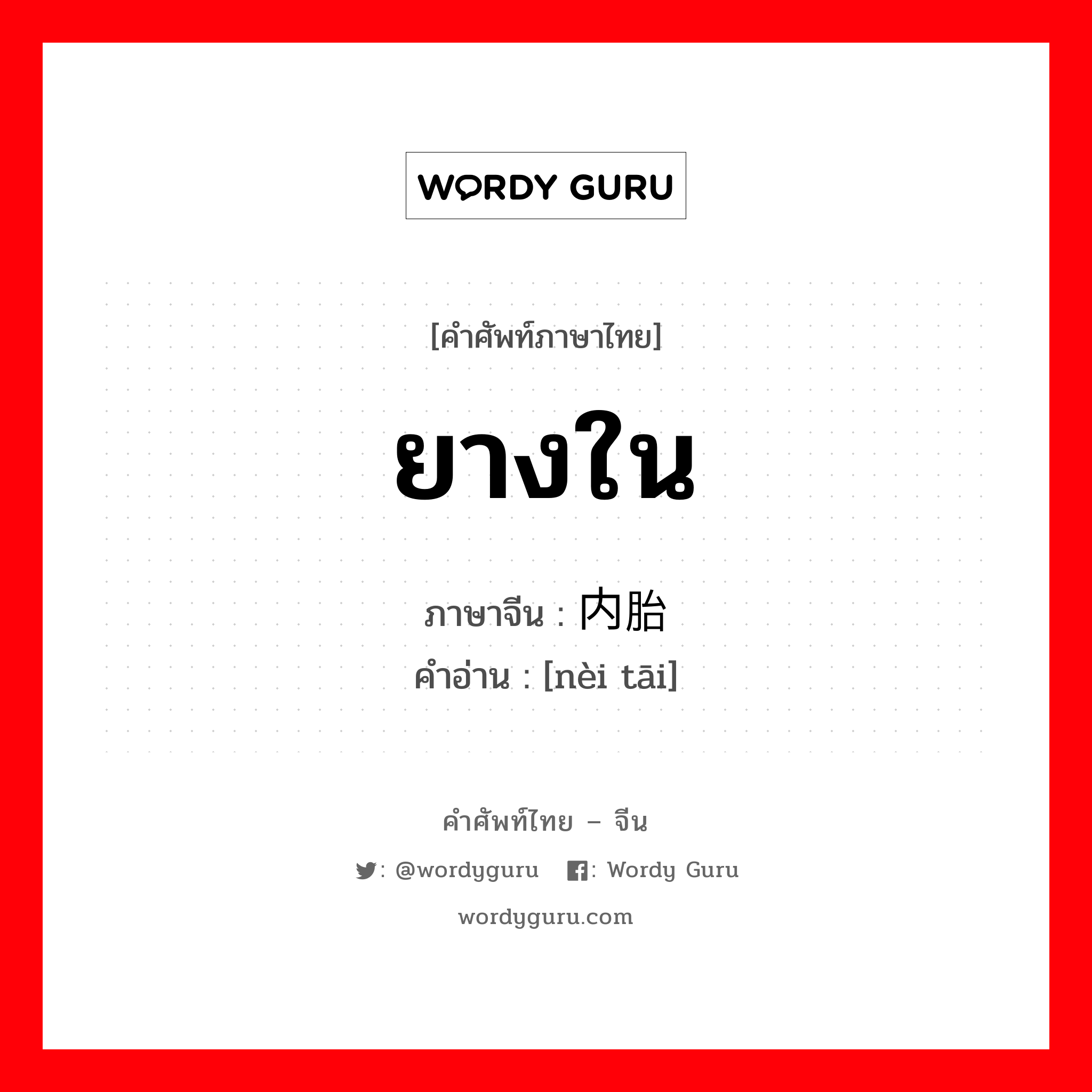 ยางใน ภาษาจีนคืออะไร, คำศัพท์ภาษาไทย - จีน ยางใน ภาษาจีน 内胎 คำอ่าน [nèi tāi]