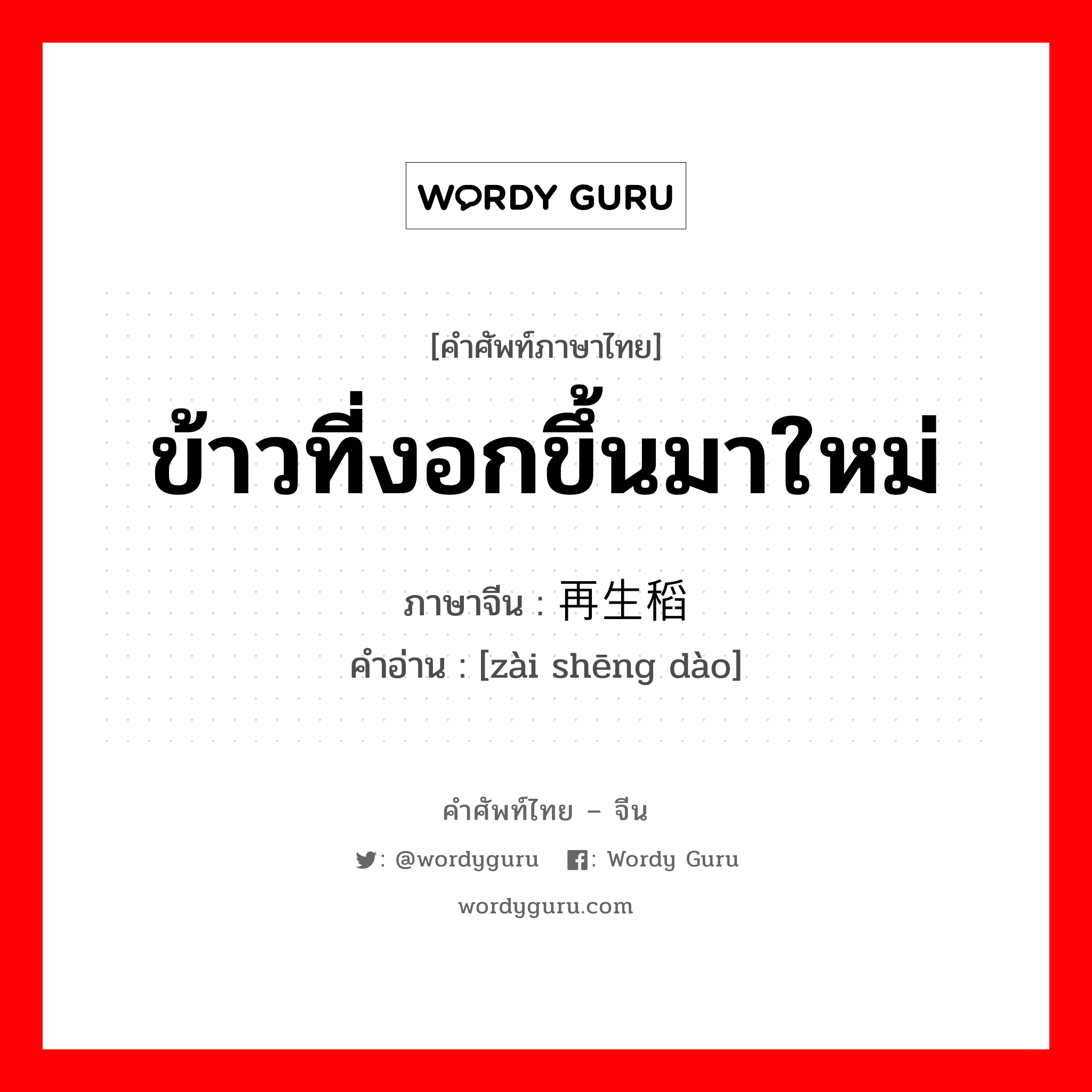 ข้าวที่งอกขึ้นมาใหม่ ภาษาจีนคืออะไร, คำศัพท์ภาษาไทย - จีน ข้าวที่งอกขึ้นมาใหม่ ภาษาจีน 再生稻 คำอ่าน [zài shēng dào]