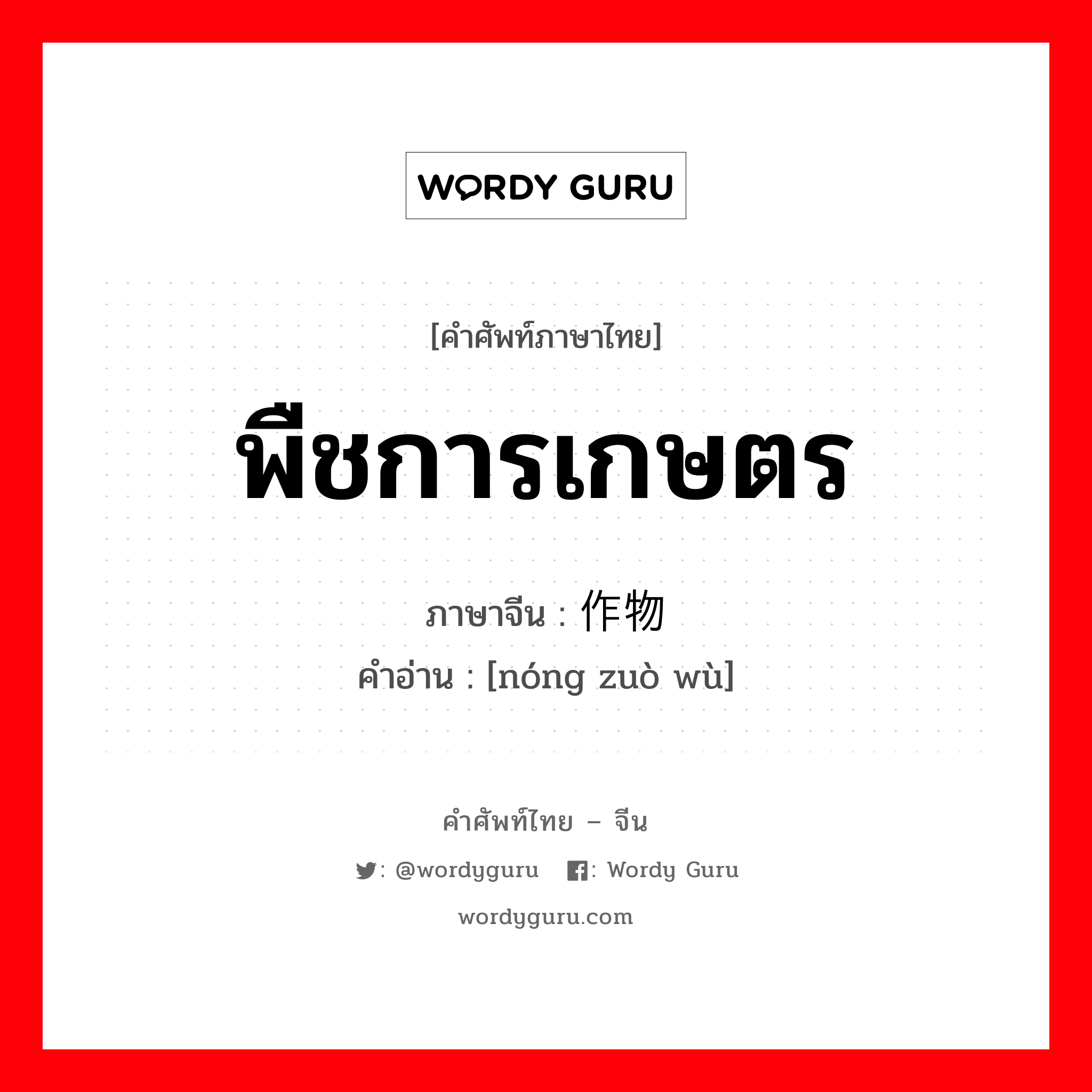 พืชการเกษตร ภาษาจีนคืออะไร, คำศัพท์ภาษาไทย - จีน พืชการเกษตร ภาษาจีน 农作物 คำอ่าน [nóng zuò wù]