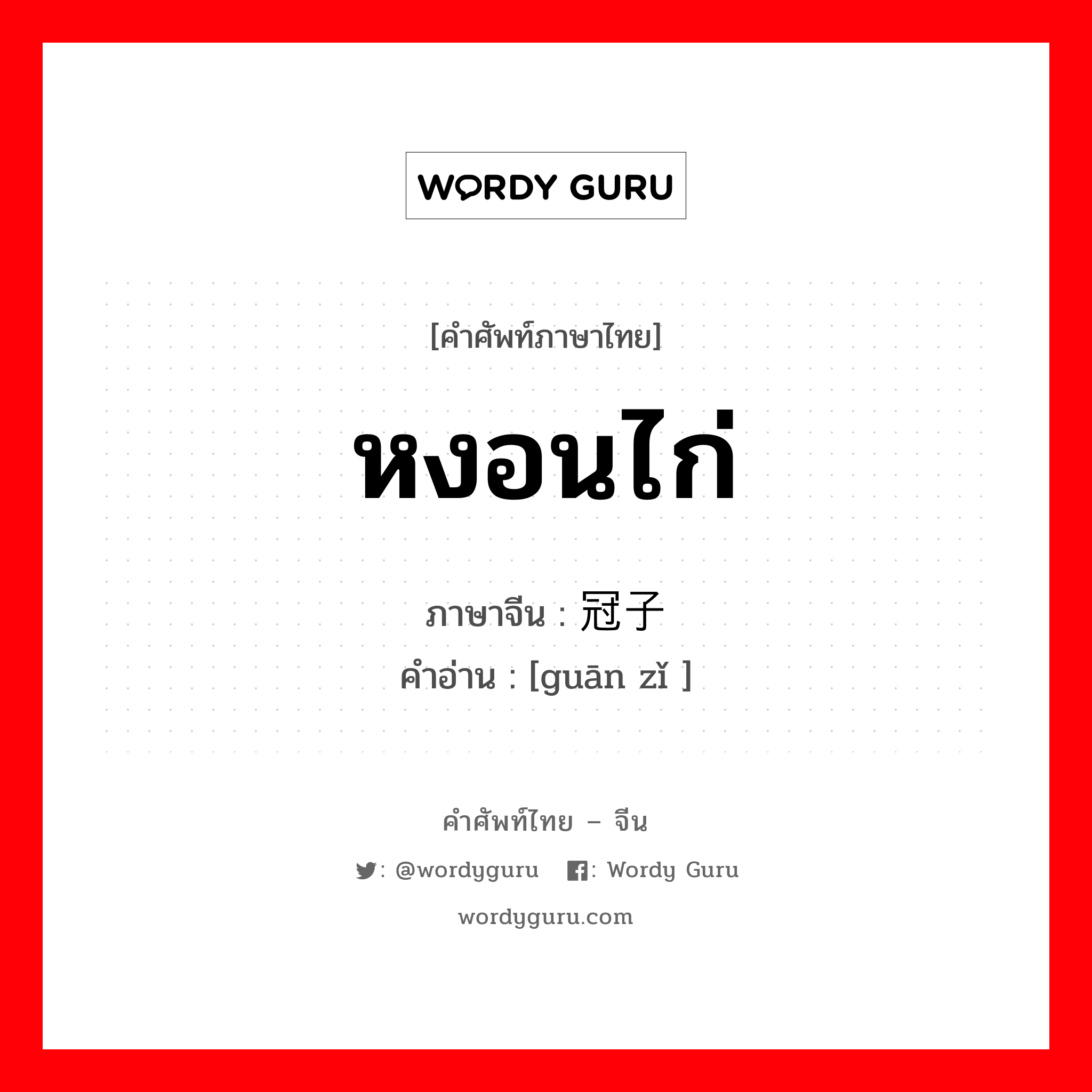 หงอนไก่ ภาษาจีนคืออะไร, คำศัพท์ภาษาไทย - จีน หงอนไก่ ภาษาจีน 冠子 คำอ่าน [guān zǐ ]