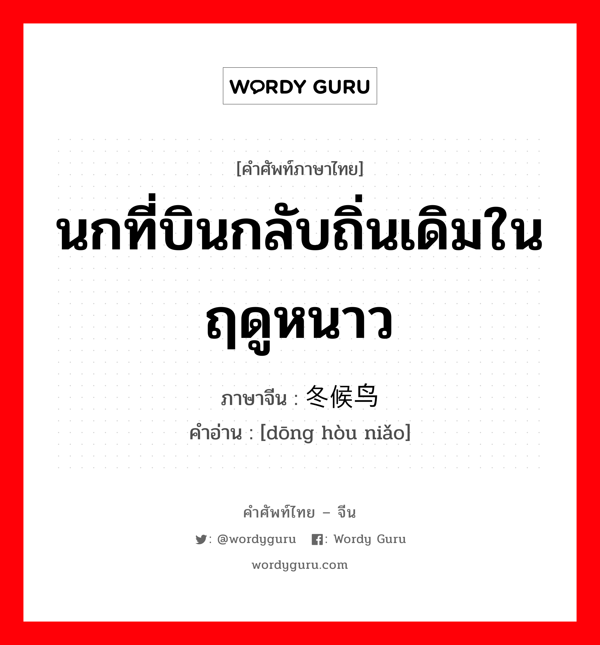 นกที่บินกลับถิ่นเดิมในฤดูหนาว ภาษาจีนคืออะไร, คำศัพท์ภาษาไทย - จีน นกที่บินกลับถิ่นเดิมในฤดูหนาว ภาษาจีน 冬候鸟 คำอ่าน [dōng hòu niǎo]