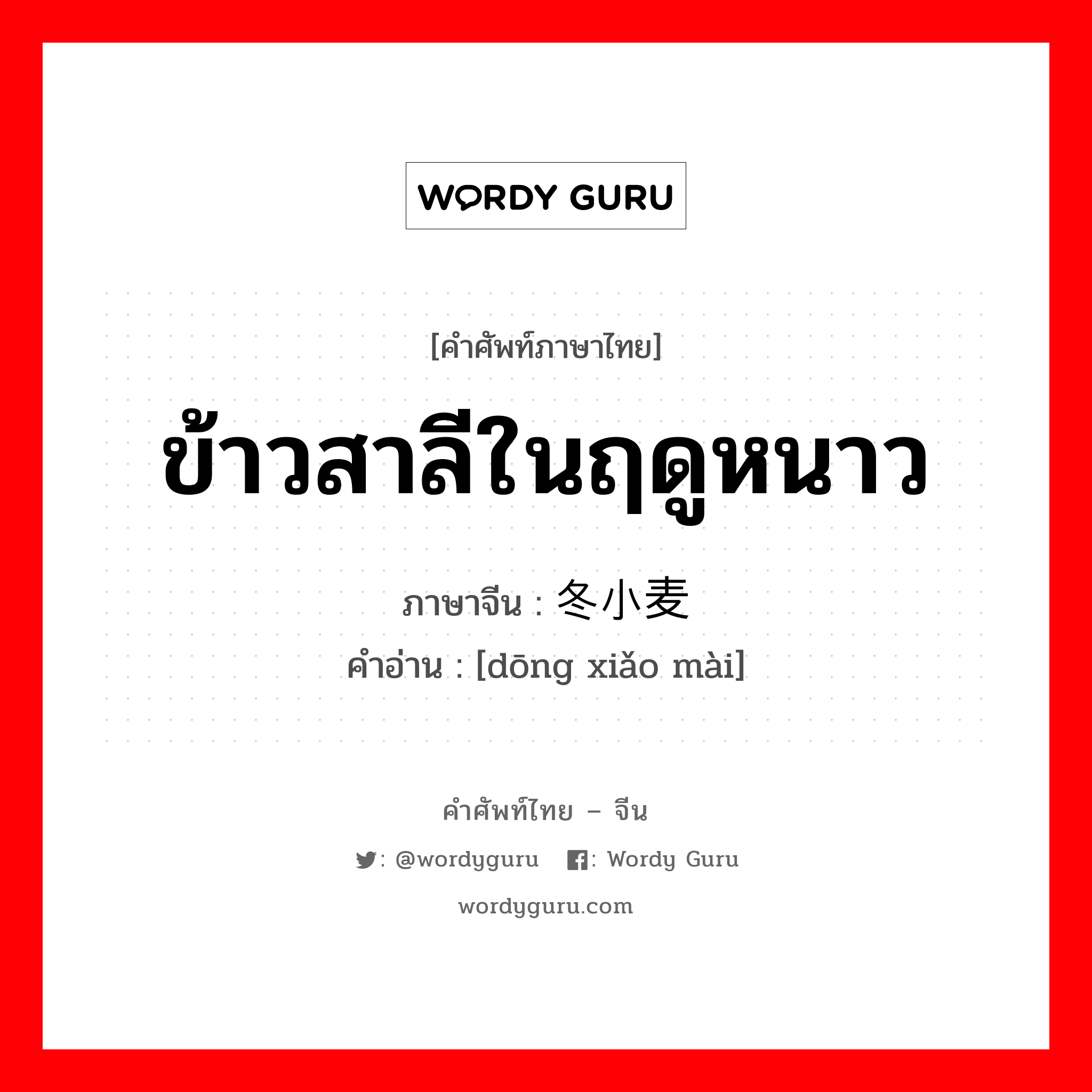 ข้าวสาลีในฤดูหนาว ภาษาจีนคืออะไร, คำศัพท์ภาษาไทย - จีน ข้าวสาลีในฤดูหนาว ภาษาจีน 冬小麦 คำอ่าน [dōng xiǎo mài]