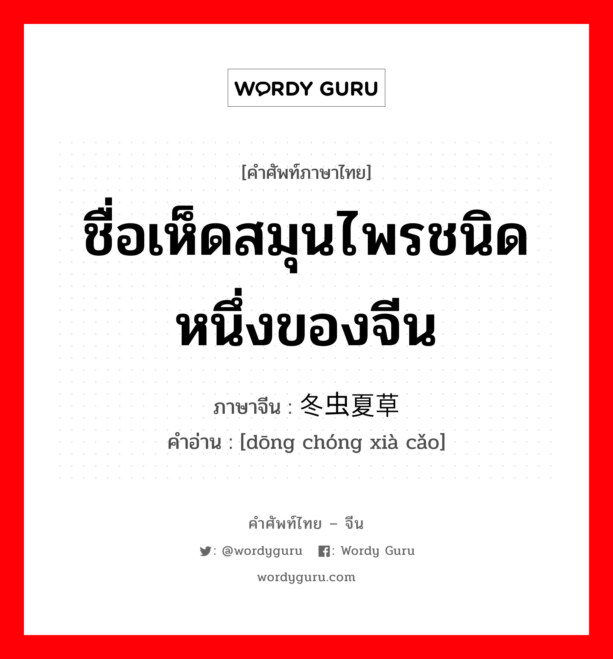 ชื่อเห็ดสมุนไพรชนิดหนึ่งของจีน ภาษาจีนคืออะไร, คำศัพท์ภาษาไทย - จีน ชื่อเห็ดสมุนไพรชนิดหนึ่งของจีน ภาษาจีน 冬虫夏草 คำอ่าน [dōng chóng xià cǎo]