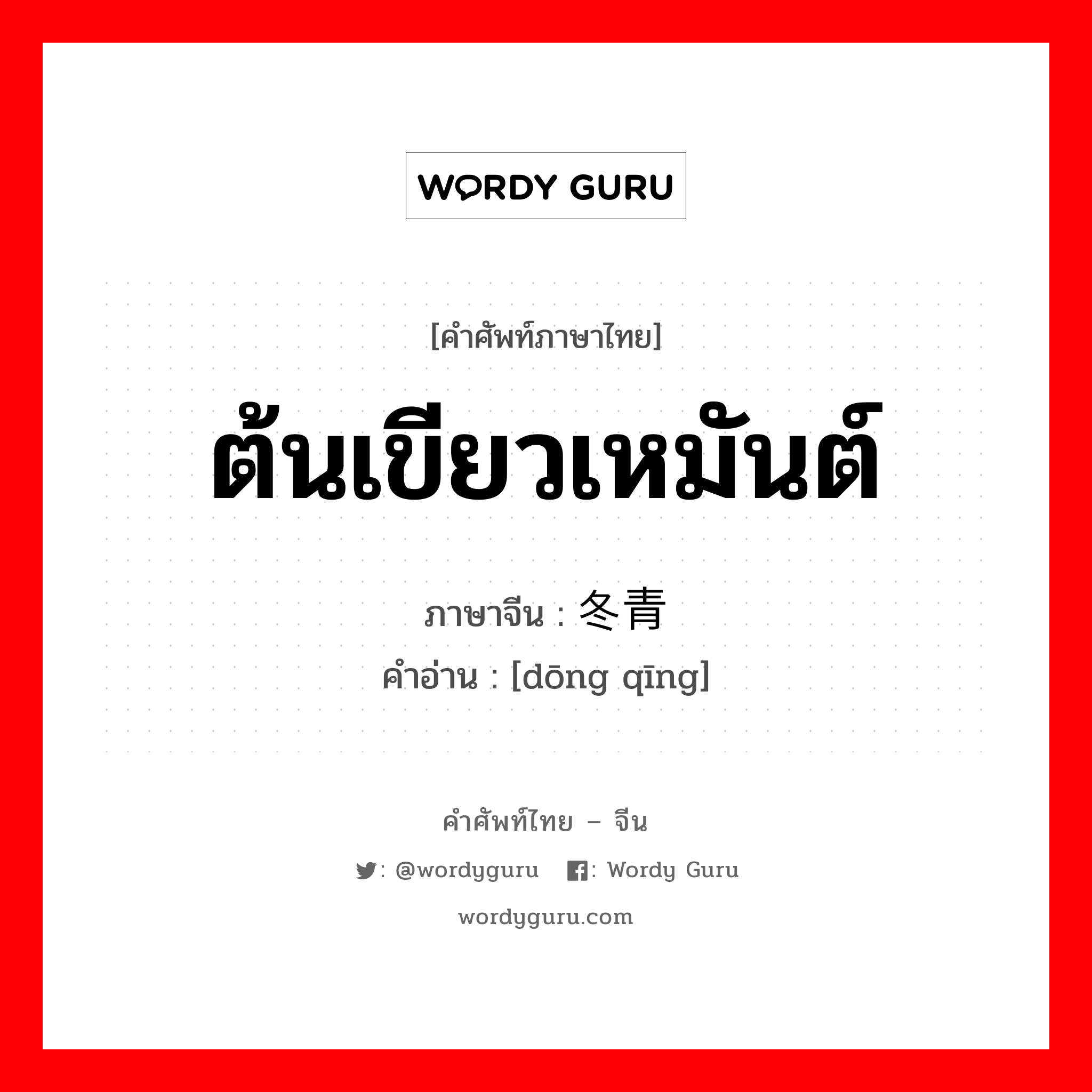 ต้นเขียวเหมันต์ ภาษาจีนคืออะไร, คำศัพท์ภาษาไทย - จีน ต้นเขียวเหมันต์ ภาษาจีน 冬青 คำอ่าน [dōng qīng]