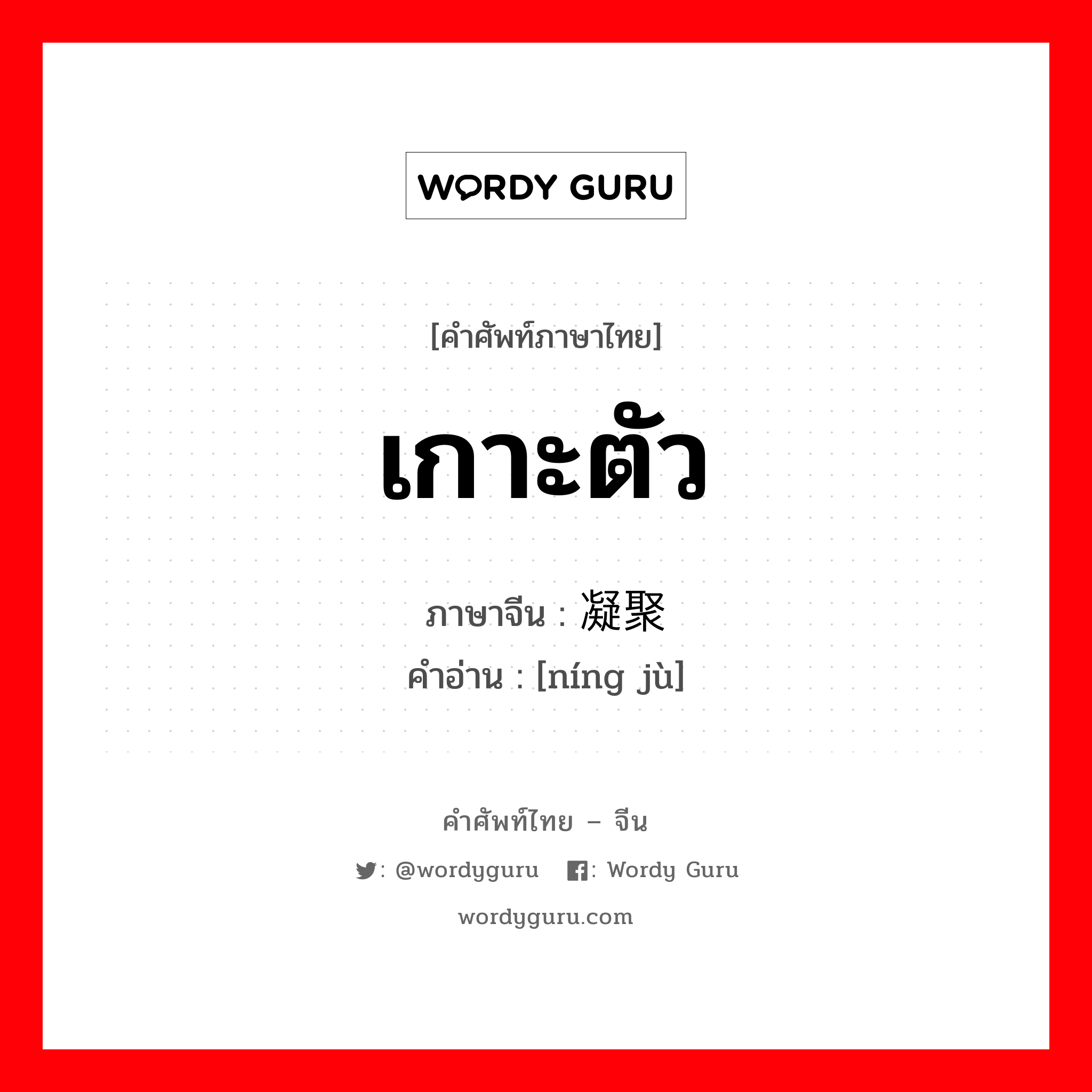 เกาะตัว ภาษาจีนคืออะไร, คำศัพท์ภาษาไทย - จีน เกาะตัว ภาษาจีน 凝聚 คำอ่าน [níng jù]