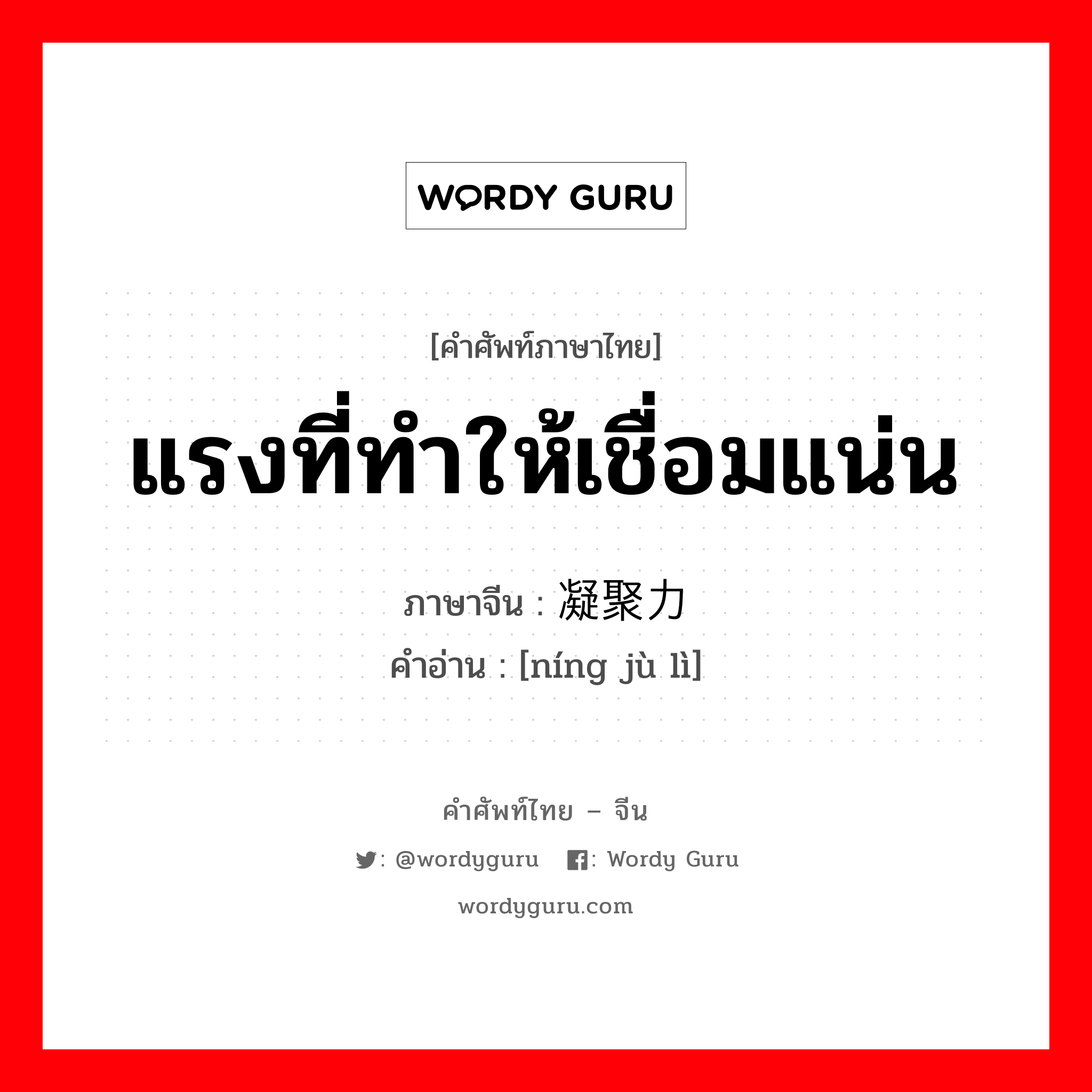 แรงที่ทำให้เชื่อมแน่น ภาษาจีนคืออะไร, คำศัพท์ภาษาไทย - จีน แรงที่ทำให้เชื่อมแน่น ภาษาจีน 凝聚力 คำอ่าน [níng jù lì]