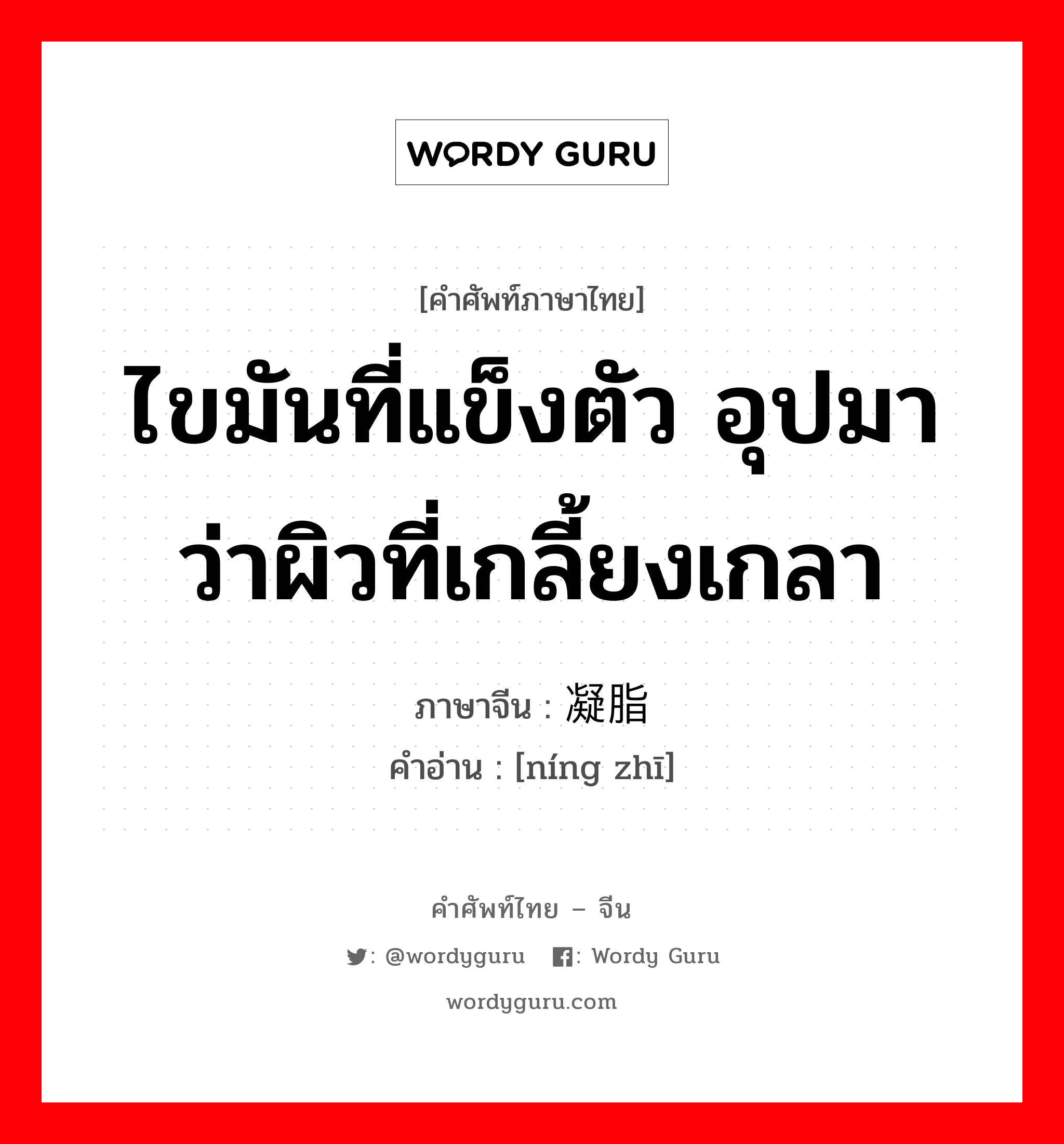 ไขมันที่แข็งตัว อุปมาว่าผิวที่เกลี้ยงเกลา ภาษาจีนคืออะไร, คำศัพท์ภาษาไทย - จีน ไขมันที่แข็งตัว อุปมาว่าผิวที่เกลี้ยงเกลา ภาษาจีน 凝脂 คำอ่าน [níng zhī]