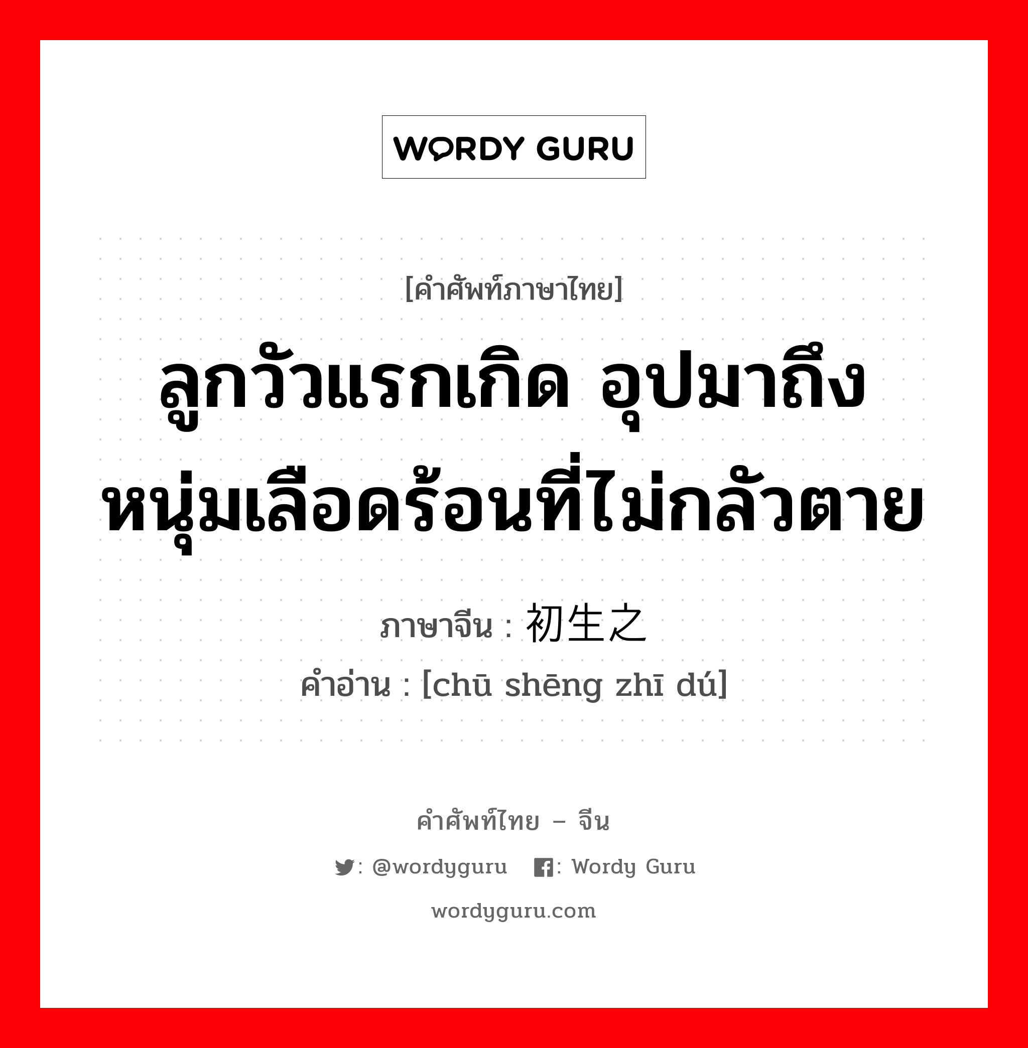 ลูกวัวแรกเกิด อุปมาถึง หนุ่มเลือดร้อนที่ไม่กลัวตาย ภาษาจีนคืออะไร, คำศัพท์ภาษาไทย - จีน ลูกวัวแรกเกิด อุปมาถึง หนุ่มเลือดร้อนที่ไม่กลัวตาย ภาษาจีน 初生之犊 คำอ่าน [chū shēng zhī dú]