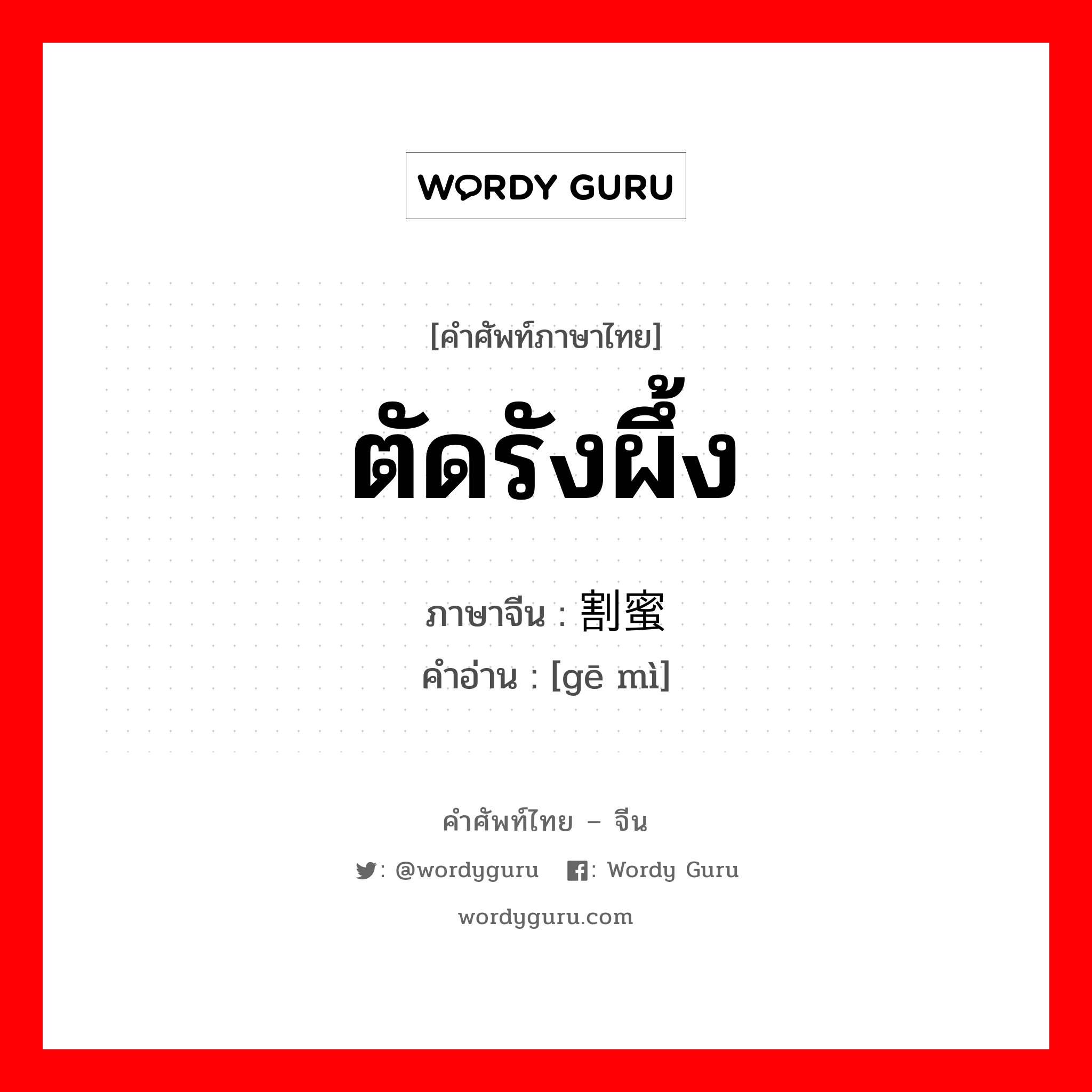 ตัดรังผึ้ง ภาษาจีนคืออะไร, คำศัพท์ภาษาไทย - จีน ตัดรังผึ้ง ภาษาจีน 割蜜 คำอ่าน [gē mì]