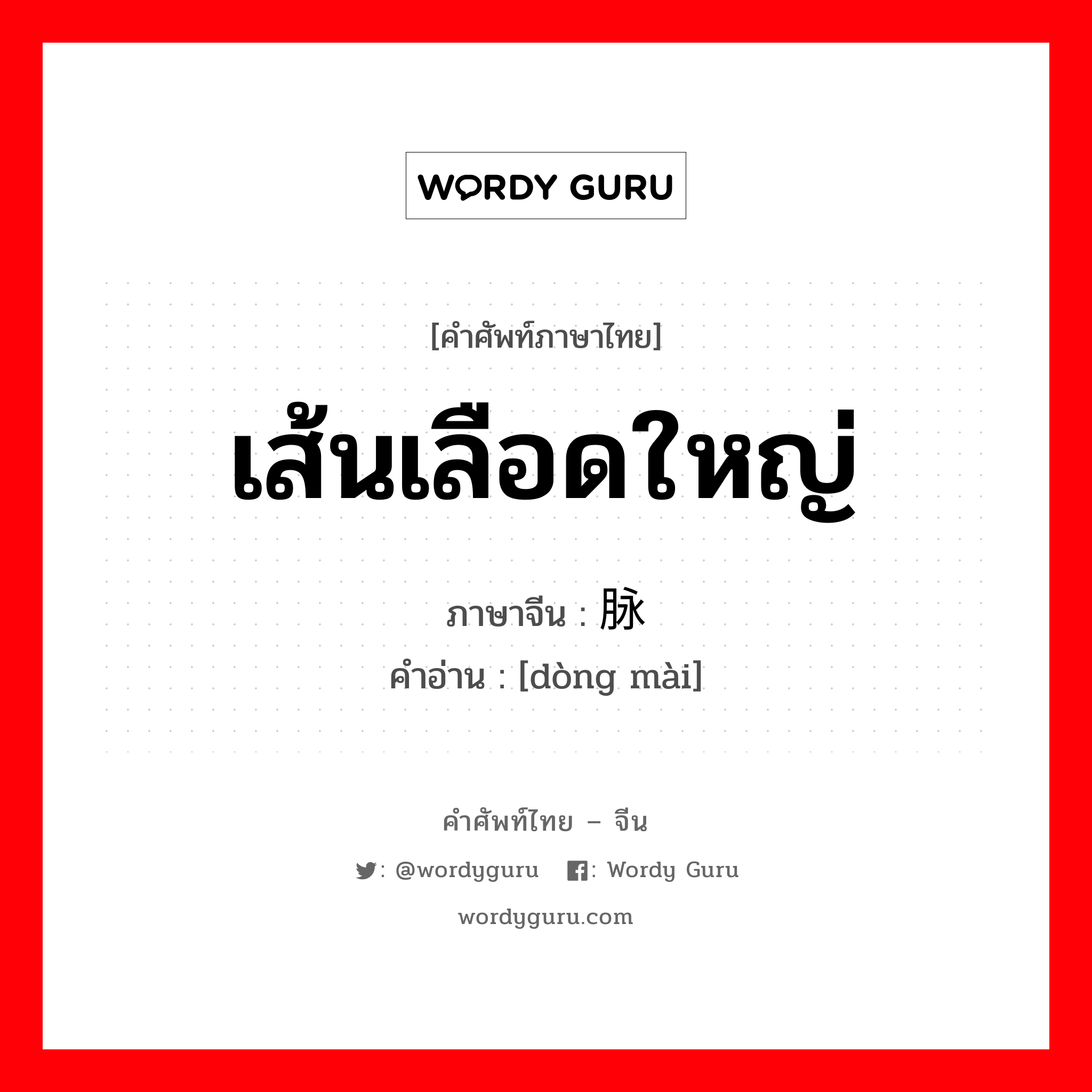 เส้นเลือดใหญ่ ภาษาจีนคืออะไร, คำศัพท์ภาษาไทย - จีน เส้นเลือดใหญ่ ภาษาจีน 动脉 คำอ่าน [dòng mài]