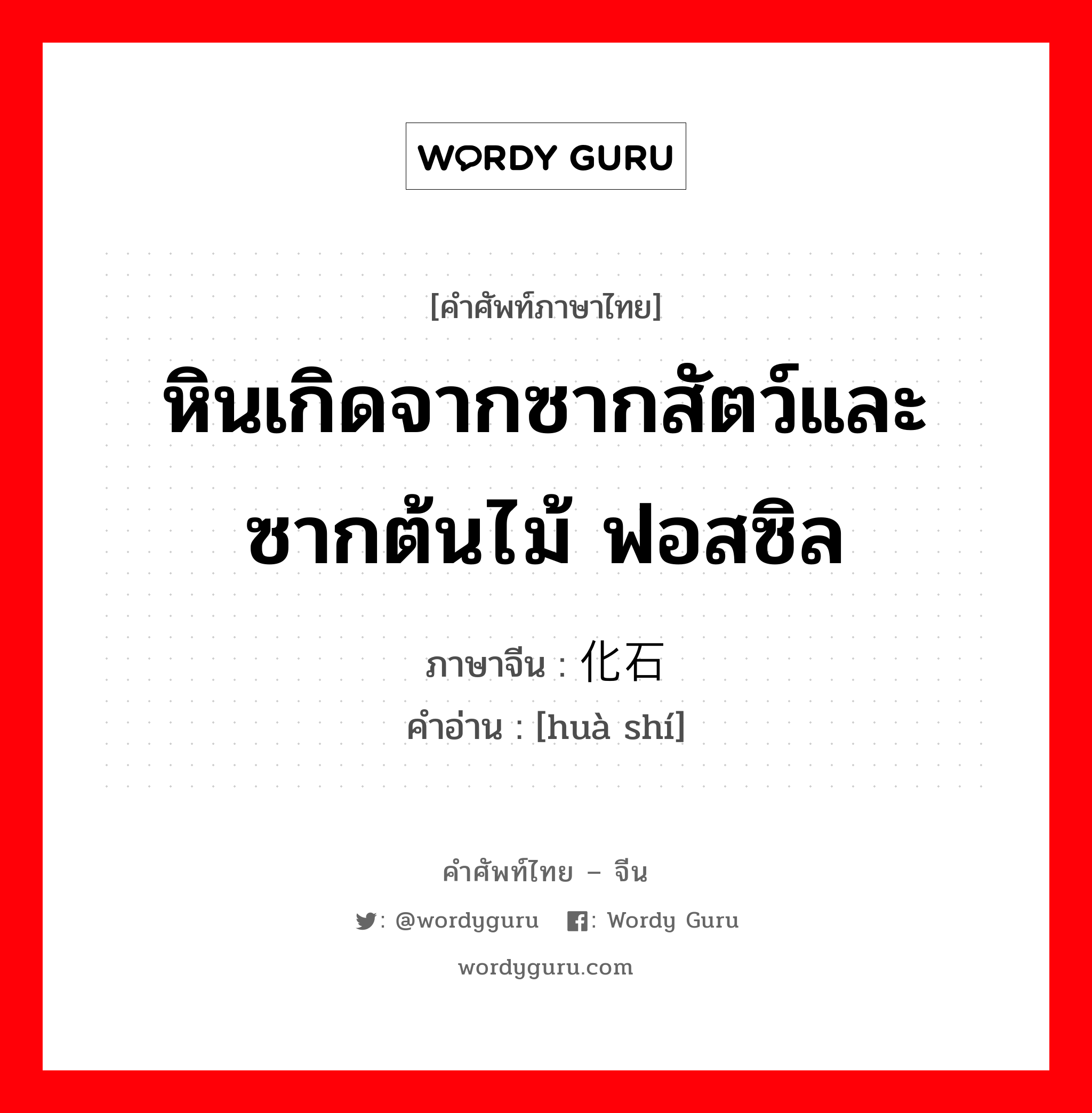 หินเกิดจากซากสัตว์และซากต้นไม้ ฟอสซิล ภาษาจีนคืออะไร, คำศัพท์ภาษาไทย - จีน หินเกิดจากซากสัตว์และซากต้นไม้ ฟอสซิล ภาษาจีน 化石 คำอ่าน [huà shí]