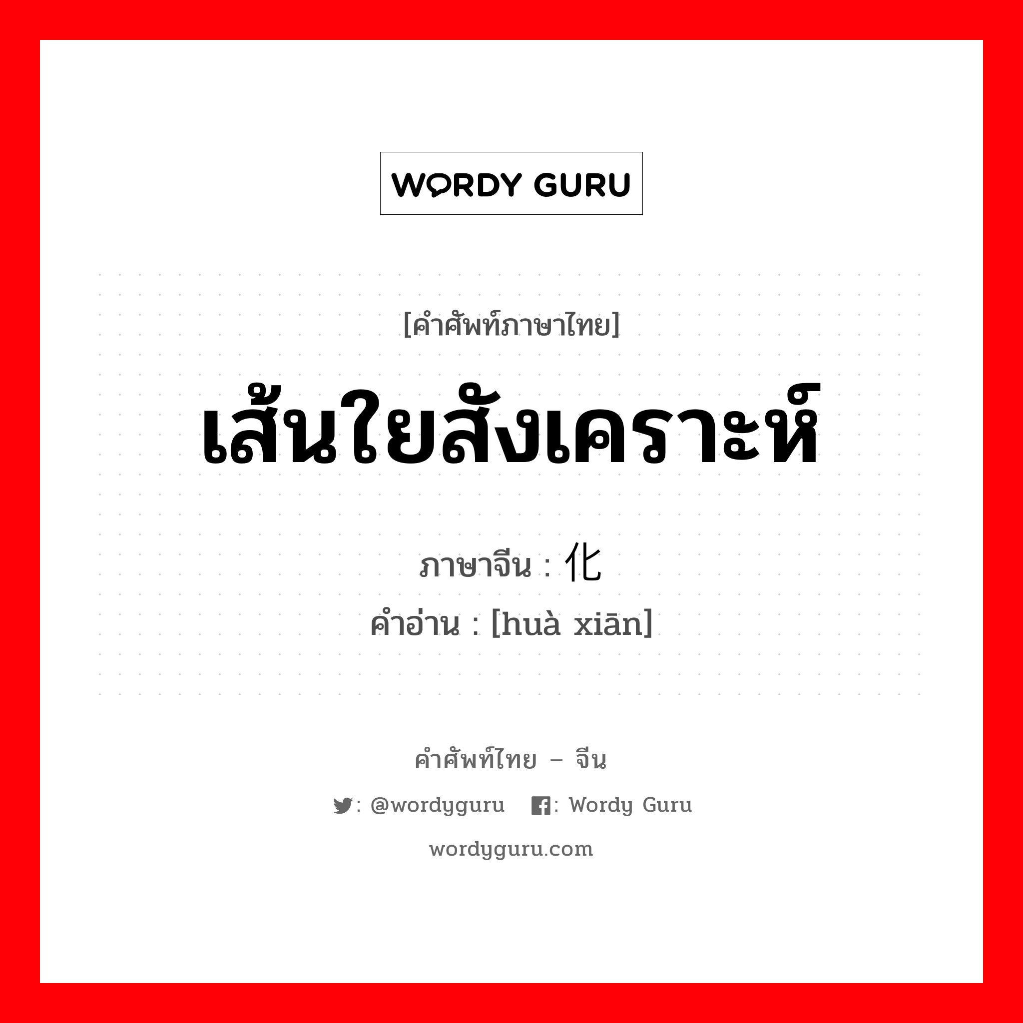 เส้นใยสังเคราะห์ ภาษาจีนคืออะไร, คำศัพท์ภาษาไทย - จีน เส้นใยสังเคราะห์ ภาษาจีน 化纤 คำอ่าน [huà xiān]