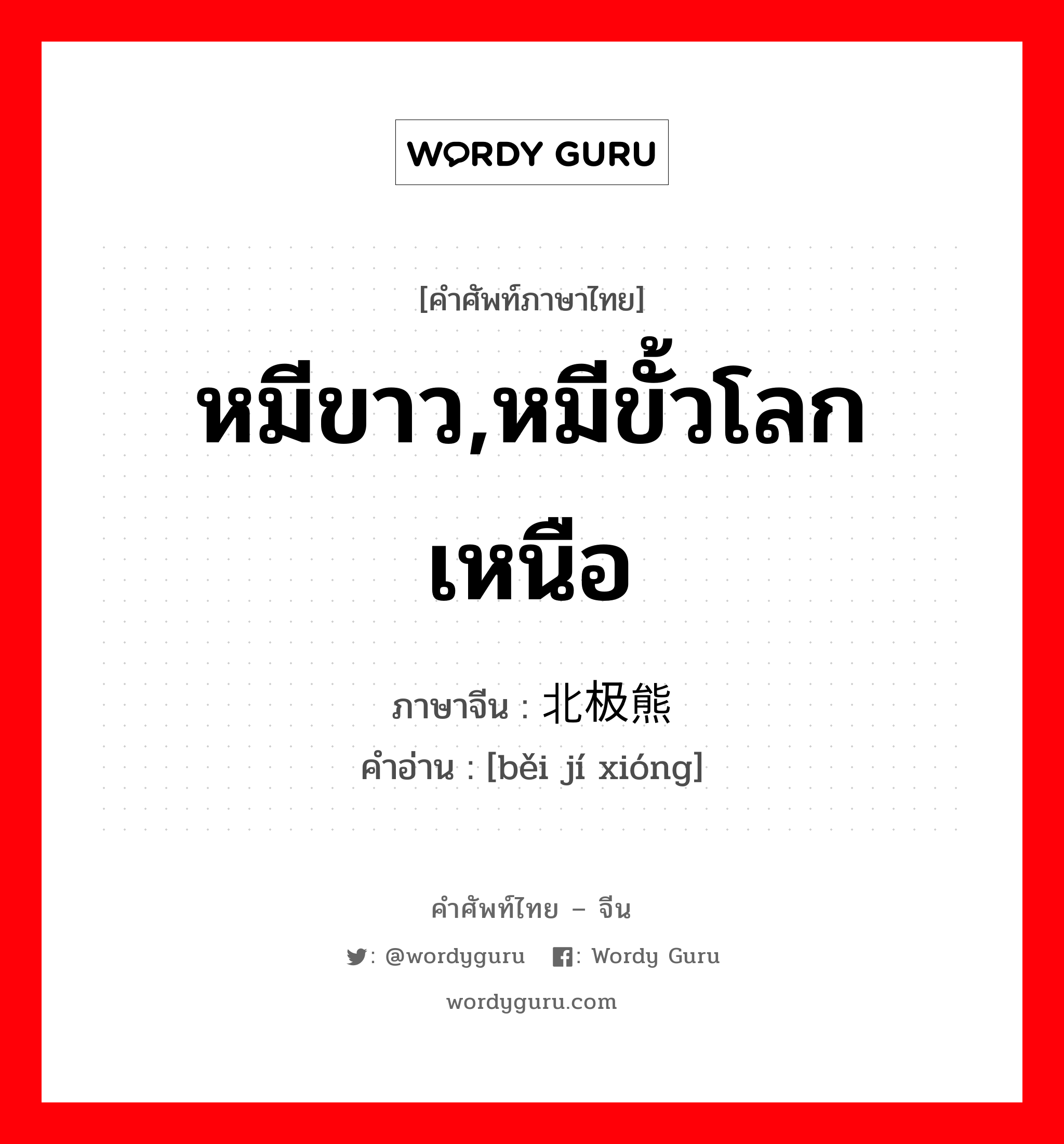 หมีขาว,หมีขั้วโลกเหนือ ภาษาจีนคืออะไร, คำศัพท์ภาษาไทย - จีน หมีขาว,หมีขั้วโลกเหนือ ภาษาจีน 北极熊 คำอ่าน [běi jí xióng]