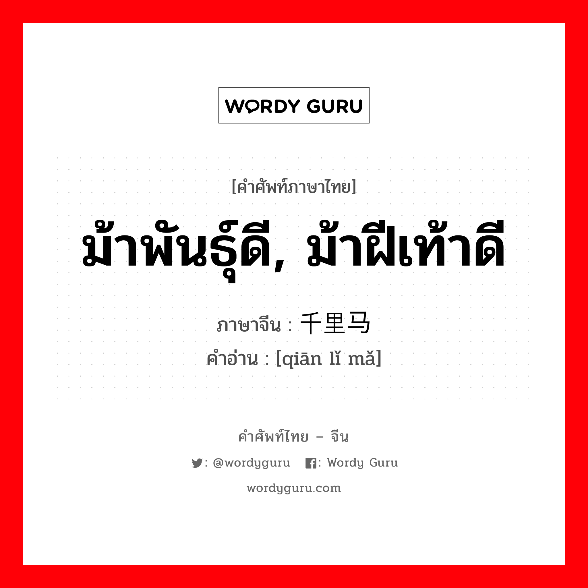 ม้าพันธุ์ดี, ม้าฝีเท้าดี ภาษาจีนคืออะไร, คำศัพท์ภาษาไทย - จีน ม้าพันธุ์ดี, ม้าฝีเท้าดี ภาษาจีน 千里马 คำอ่าน [qiān lǐ mǎ]