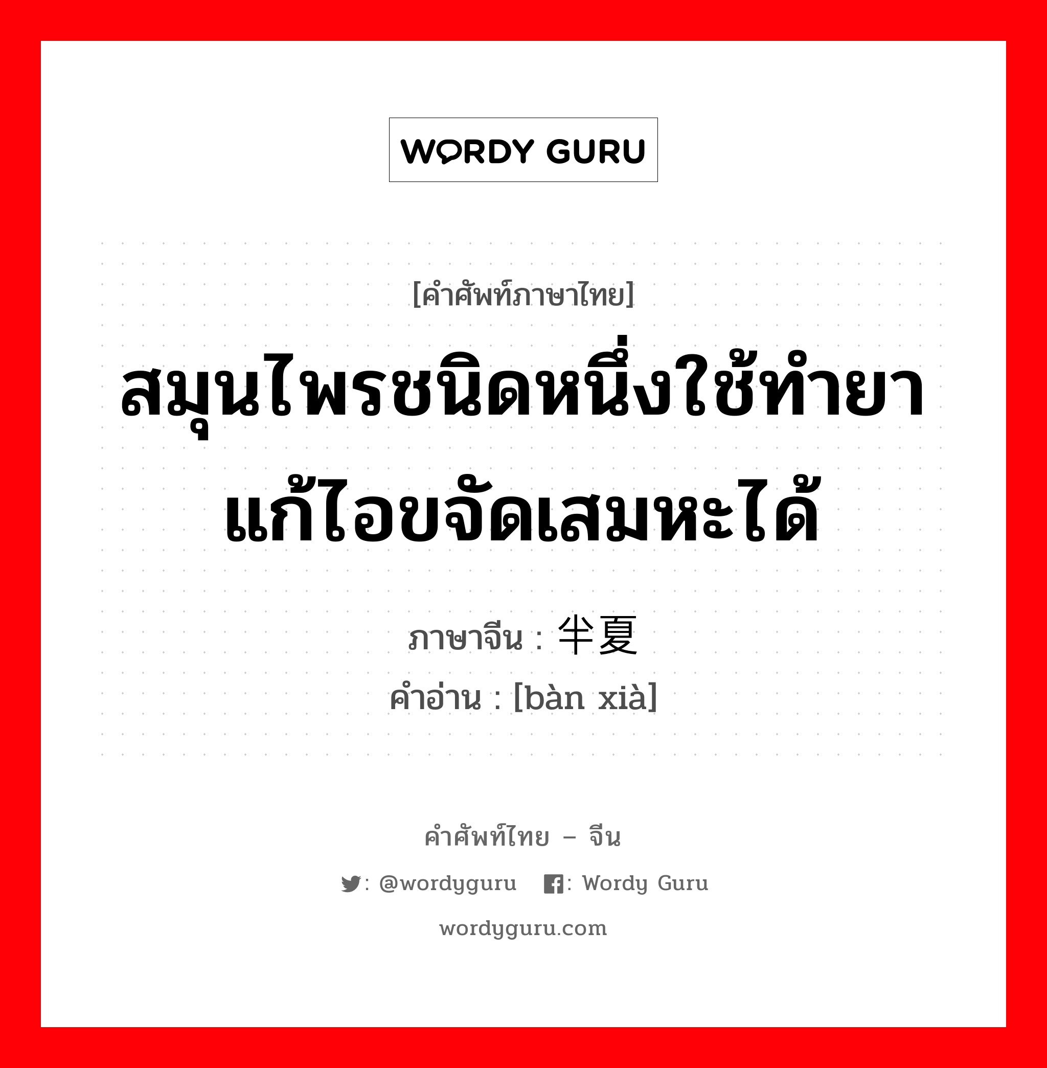 สมุนไพรชนิดหนึ่งใช้ทำยาแก้ไอขจัดเสมหะได้ ภาษาจีนคืออะไร, คำศัพท์ภาษาไทย - จีน สมุนไพรชนิดหนึ่งใช้ทำยาแก้ไอขจัดเสมหะได้ ภาษาจีน 半夏 คำอ่าน [bàn xià]