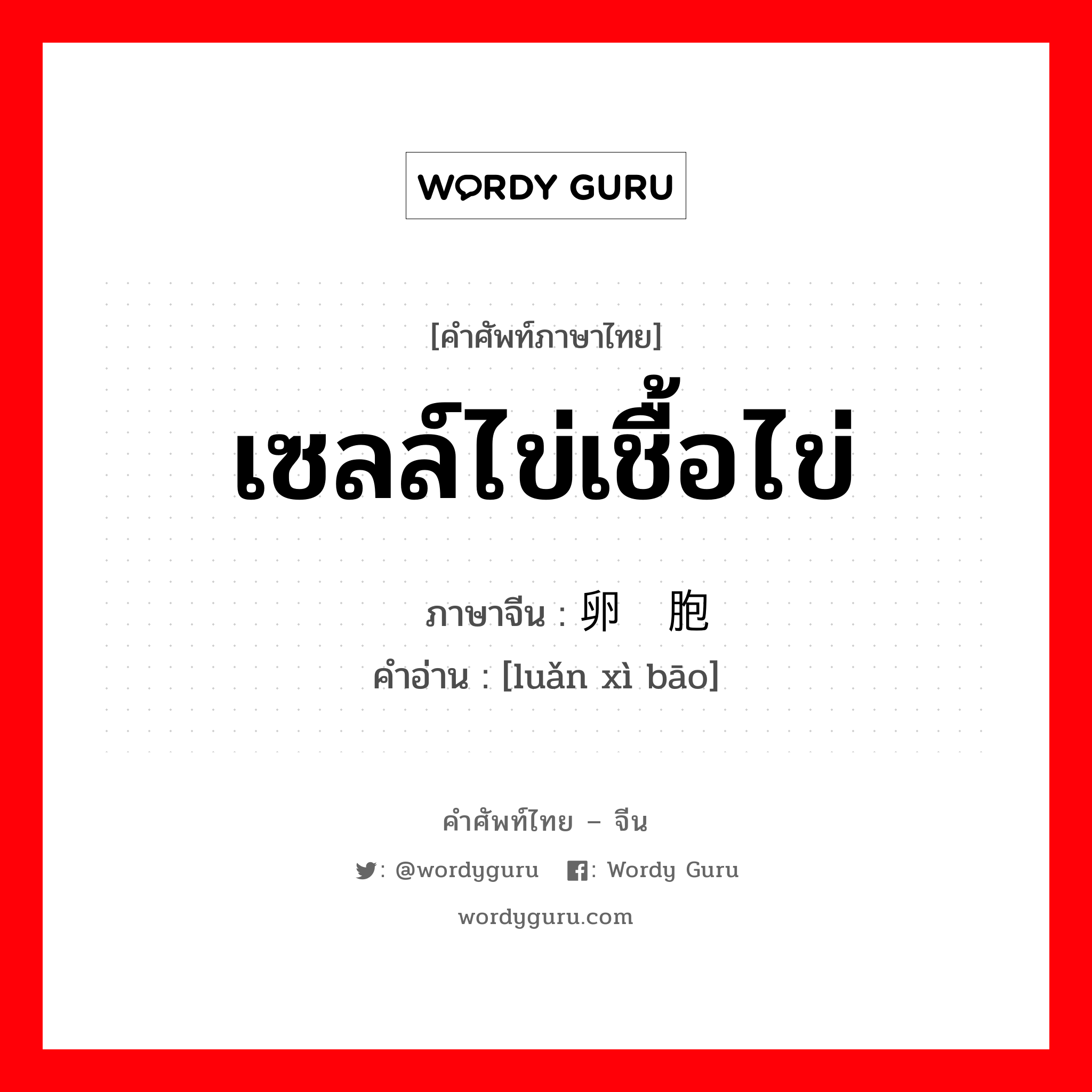 เซลล์ไข่เชื้อไข่ ภาษาจีนคืออะไร, คำศัพท์ภาษาไทย - จีน เซลล์ไข่เชื้อไข่ ภาษาจีน 卵细胞 คำอ่าน [luǎn xì bāo]