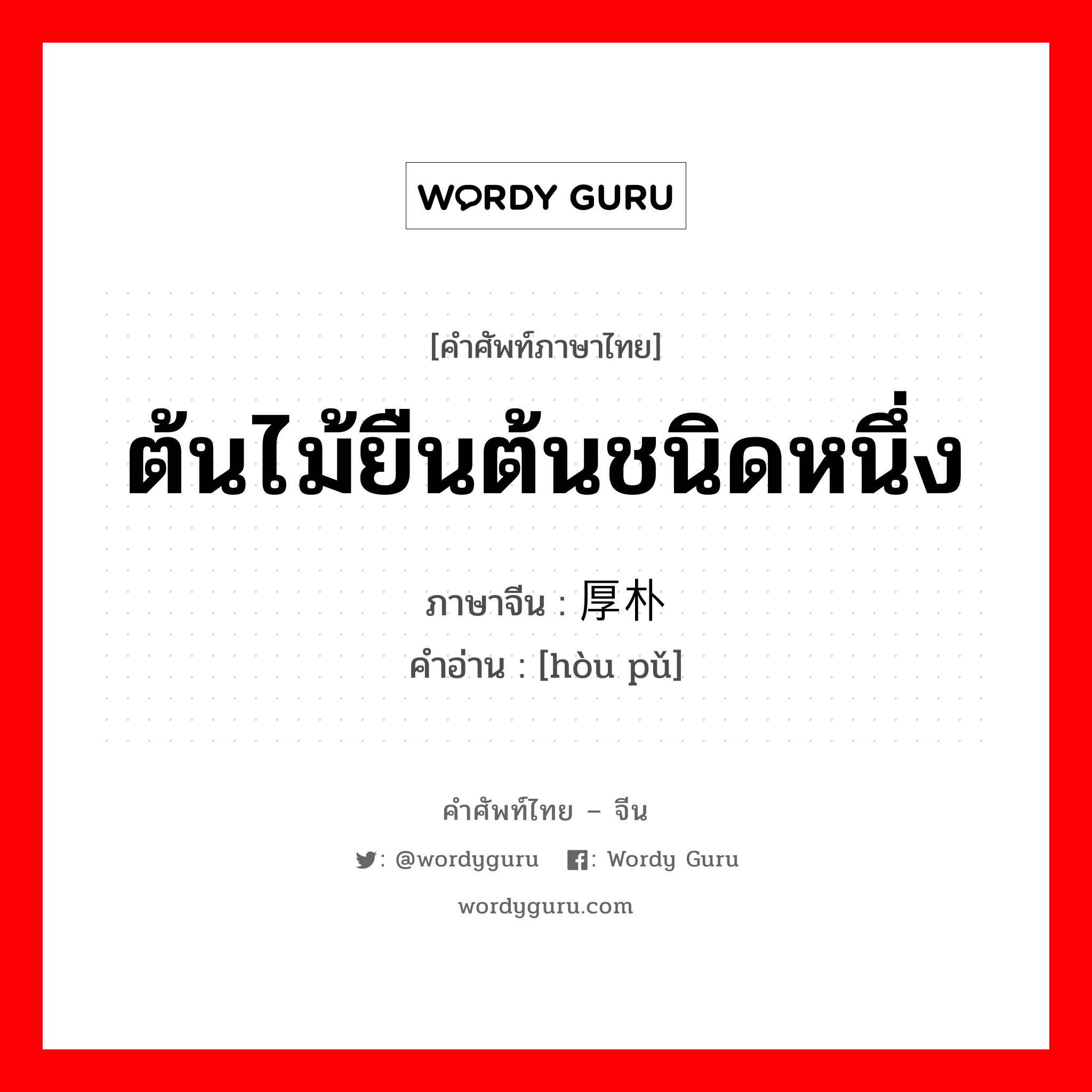 ต้นไม้ยืนต้นชนิดหนึ่ง ภาษาจีนคืออะไร, คำศัพท์ภาษาไทย - จีน ต้นไม้ยืนต้นชนิดหนึ่ง ภาษาจีน 厚朴 คำอ่าน [hòu pǔ]