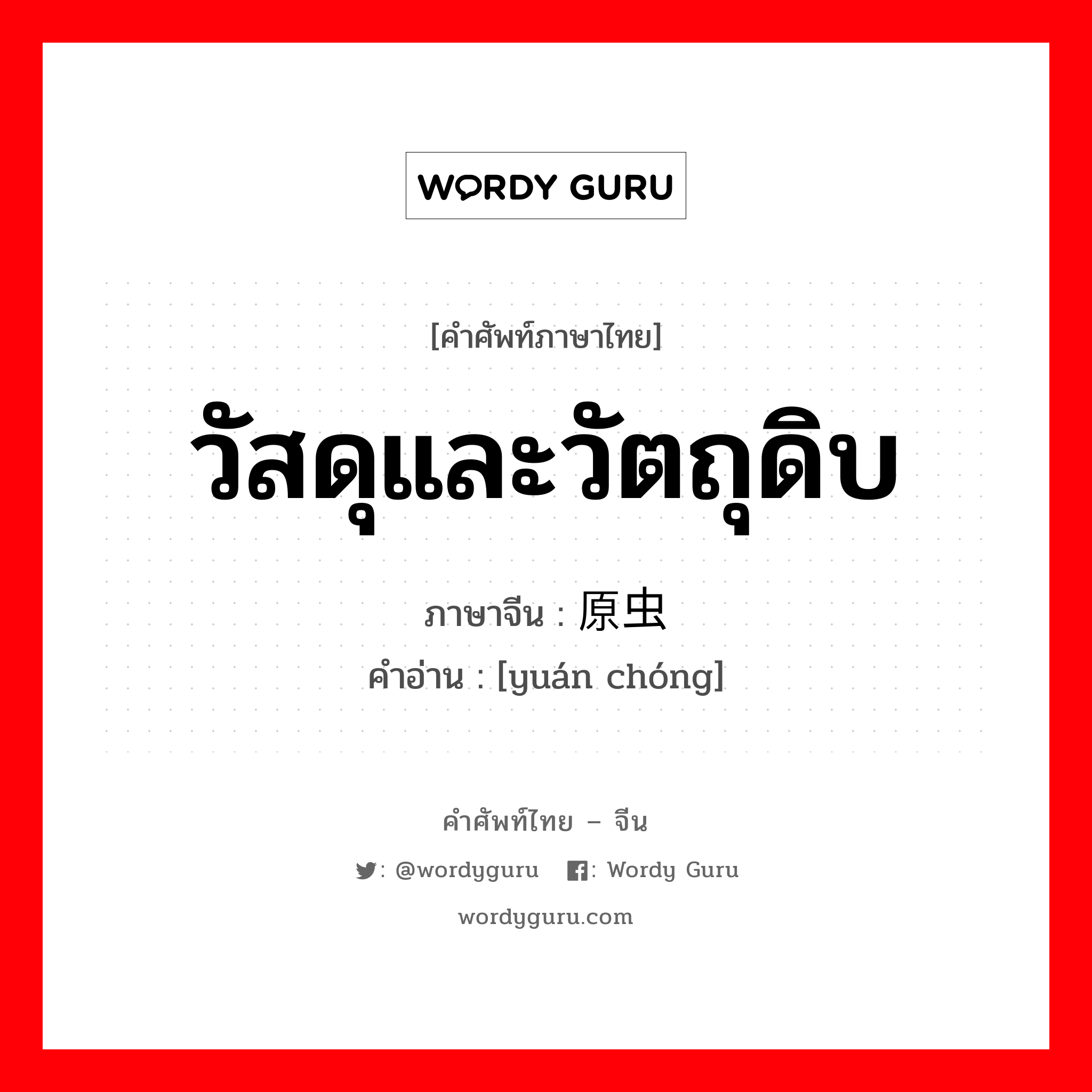 วัสดุและวัตถุดิบ ภาษาจีนคืออะไร, คำศัพท์ภาษาไทย - จีน วัสดุและวัตถุดิบ ภาษาจีน 原虫 คำอ่าน [yuán chóng]