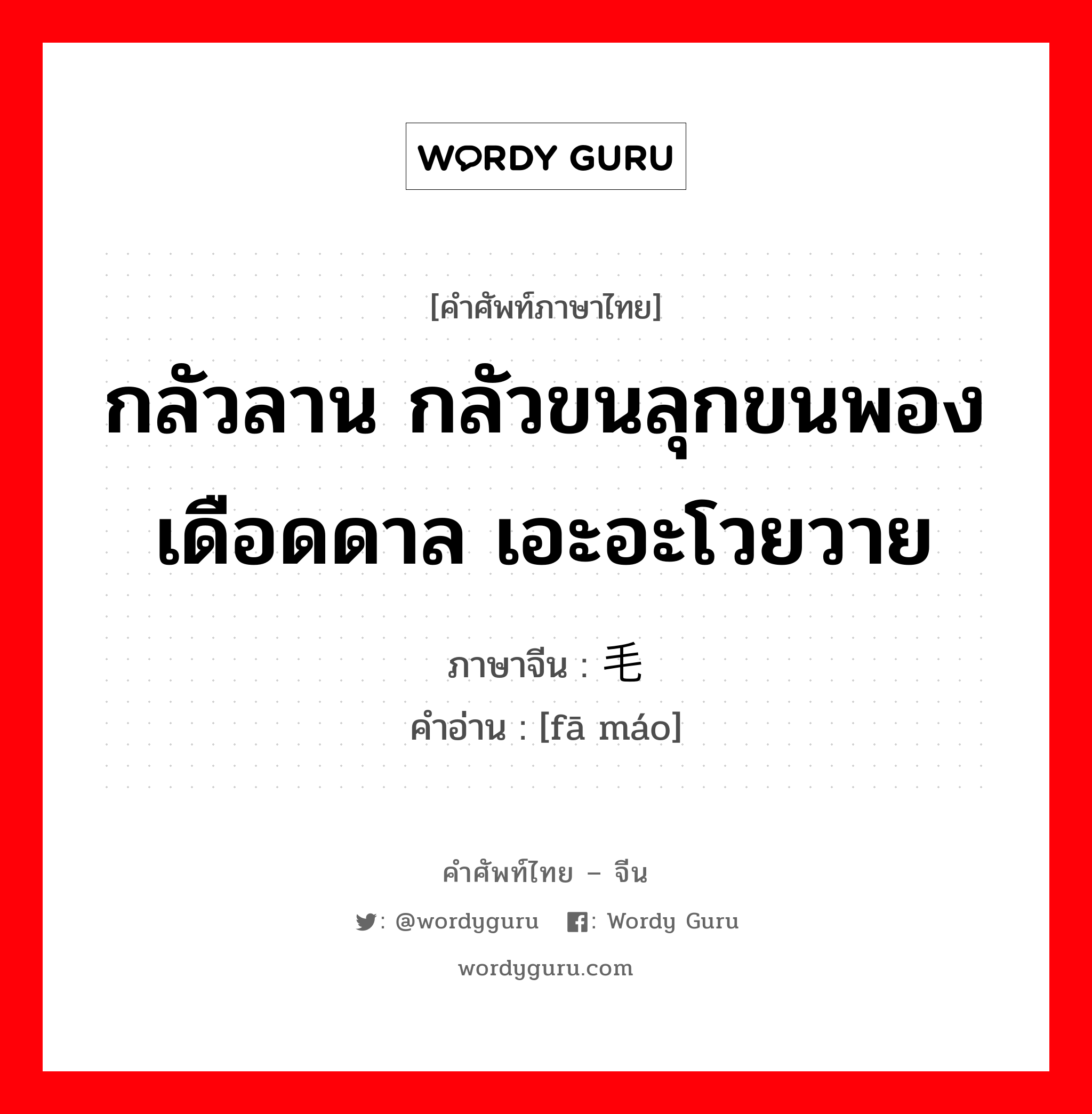 กลัวลาน กลัวขนลุกขนพองเดือดดาล เอะอะโวยวาย ภาษาจีนคืออะไร, คำศัพท์ภาษาไทย - จีน กลัวลาน กลัวขนลุกขนพองเดือดดาล เอะอะโวยวาย ภาษาจีน 发毛 คำอ่าน [fā máo]