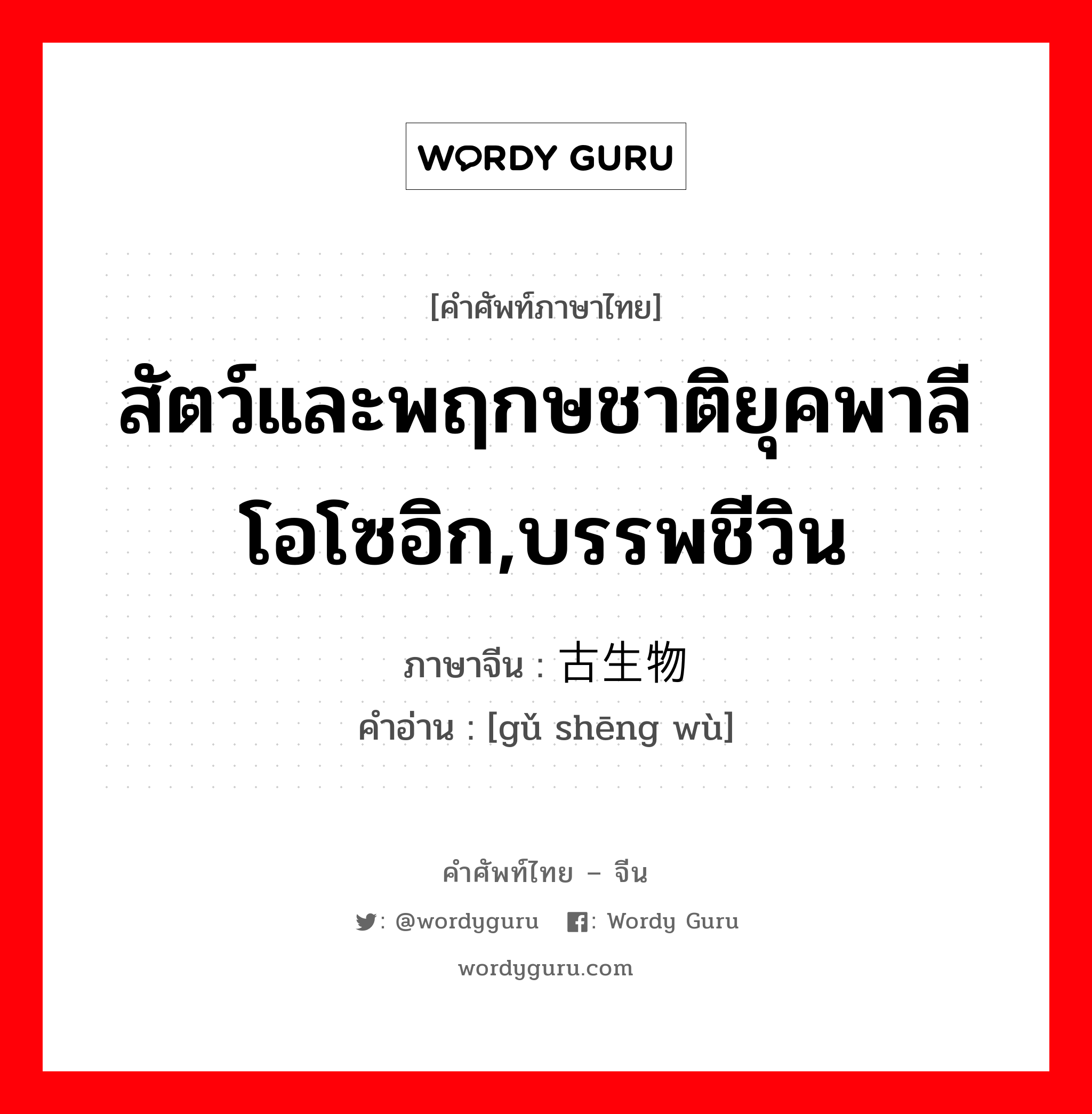 สัตว์และพฤกษชาติยุคพาลีโอโซอิก,บรรพชีวิน ภาษาจีนคืออะไร, คำศัพท์ภาษาไทย - จีน สัตว์และพฤกษชาติยุคพาลีโอโซอิก,บรรพชีวิน ภาษาจีน 古生物 คำอ่าน [gǔ shēng wù]