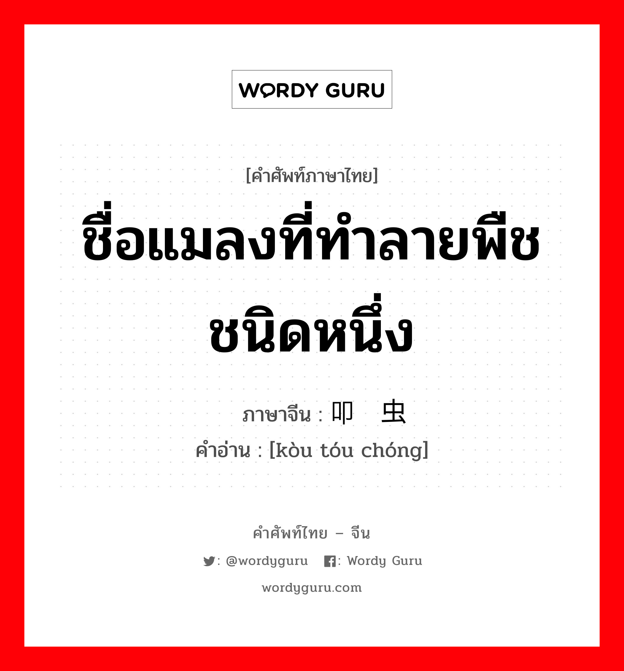 ชื่อแมลงที่ทำลายพืชชนิดหนึ่ง ภาษาจีนคืออะไร, คำศัพท์ภาษาไทย - จีน ชื่อแมลงที่ทำลายพืชชนิดหนึ่ง ภาษาจีน 叩头虫 คำอ่าน [kòu tóu chóng]