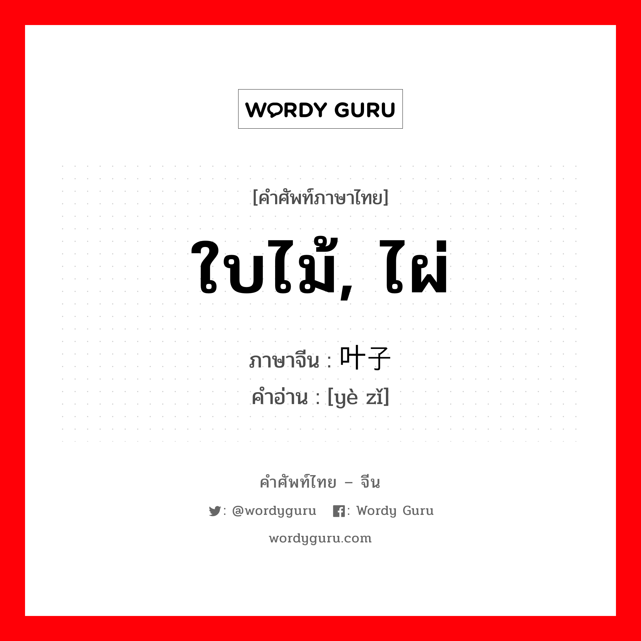 ใบไม้, ไผ่ ภาษาจีนคืออะไร, คำศัพท์ภาษาไทย - จีน ใบไม้, ไผ่ ภาษาจีน 叶子 คำอ่าน [yè zǐ]