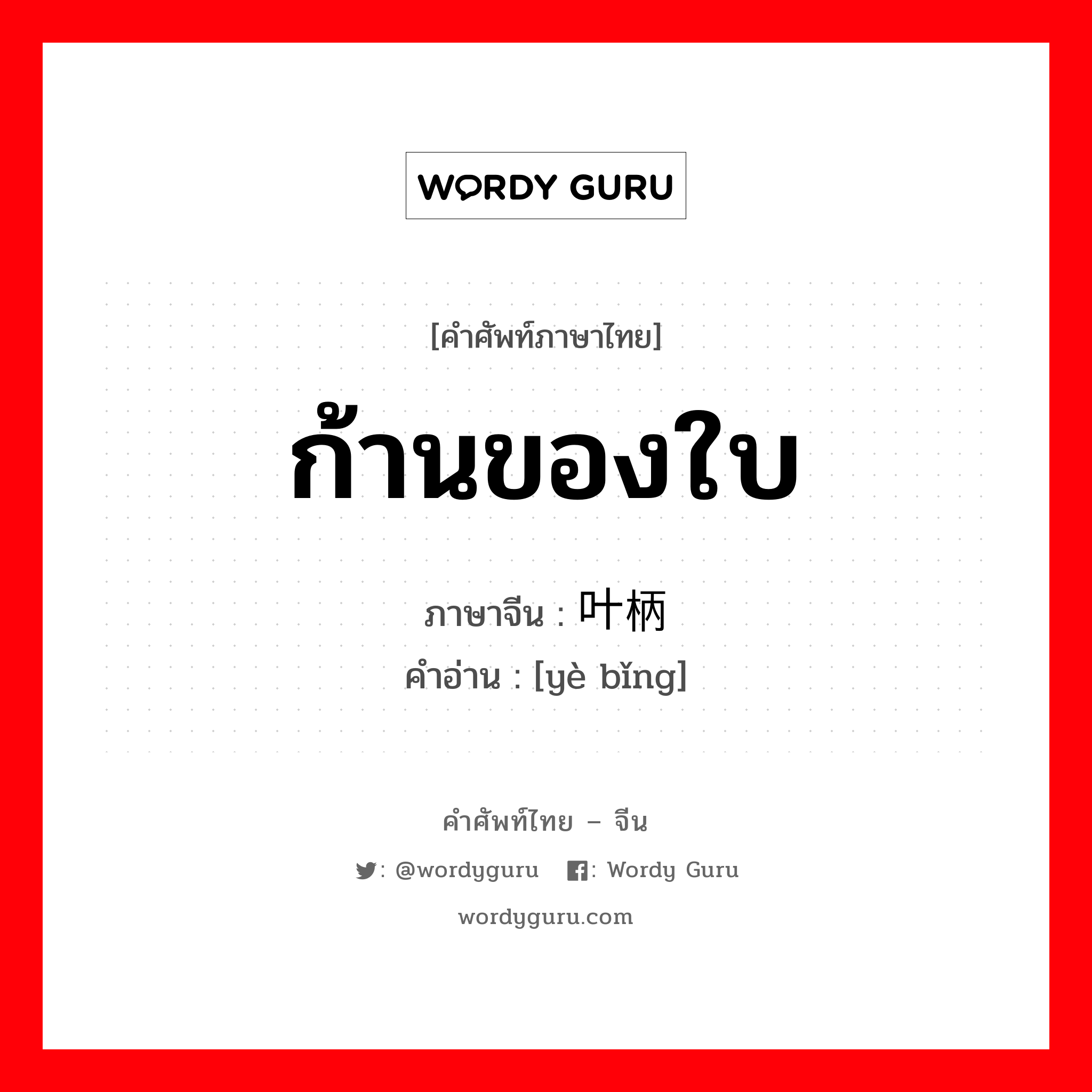 ก้านของใบ ภาษาจีนคืออะไร, คำศัพท์ภาษาไทย - จีน ก้านของใบ ภาษาจีน 叶柄 คำอ่าน [yè bǐng]