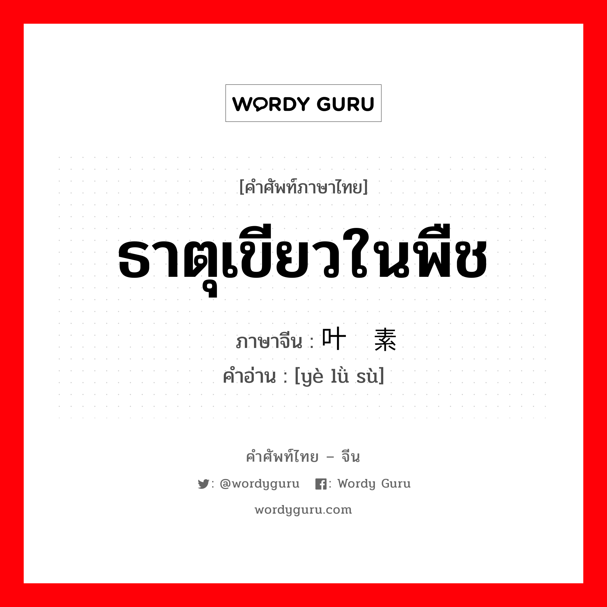 ธาตุเขียวในพืช ภาษาจีนคืออะไร, คำศัพท์ภาษาไทย - จีน ธาตุเขียวในพืช ภาษาจีน 叶绿素 คำอ่าน [yè lǜ sù]