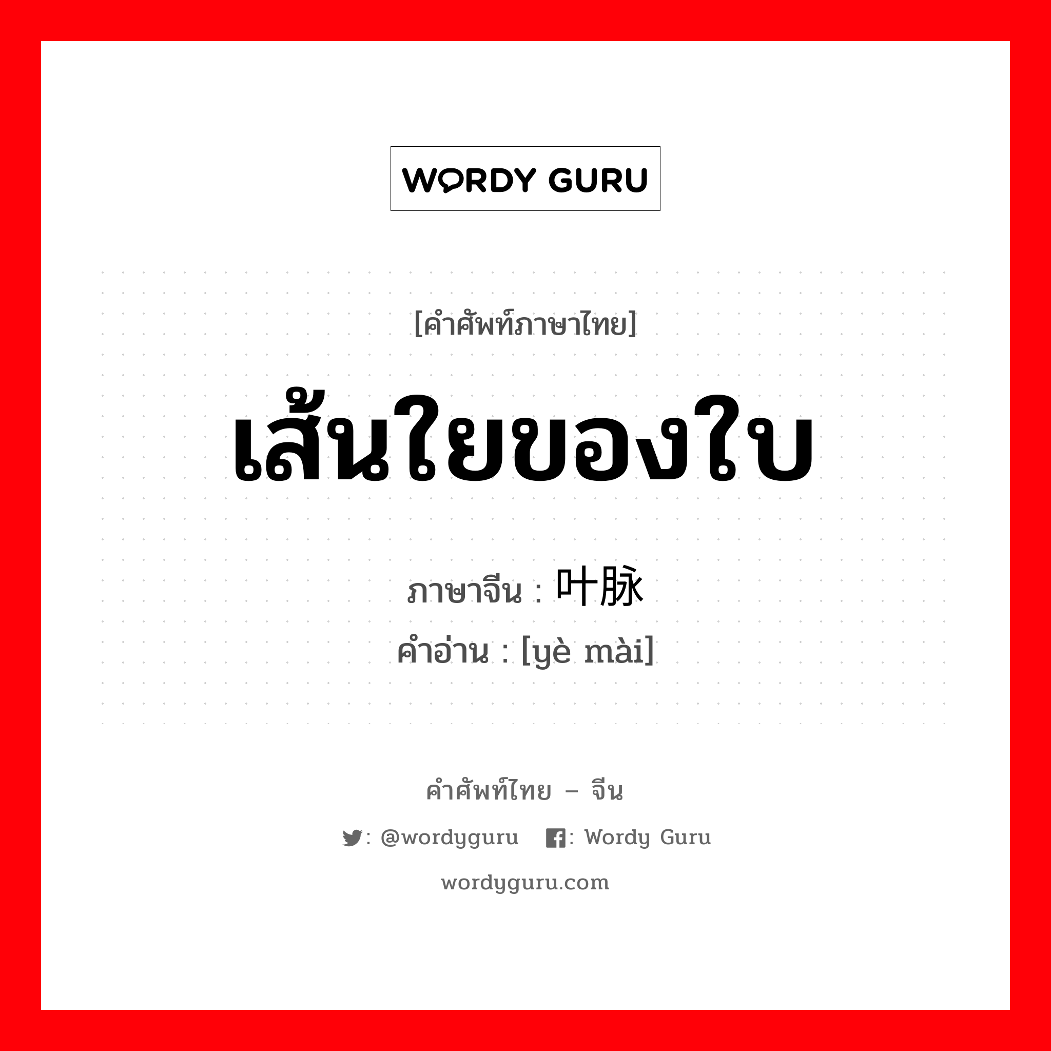 เส้นใยของใบ ภาษาจีนคืออะไร, คำศัพท์ภาษาไทย - จีน เส้นใยของใบ ภาษาจีน 叶脉 คำอ่าน [yè mài]