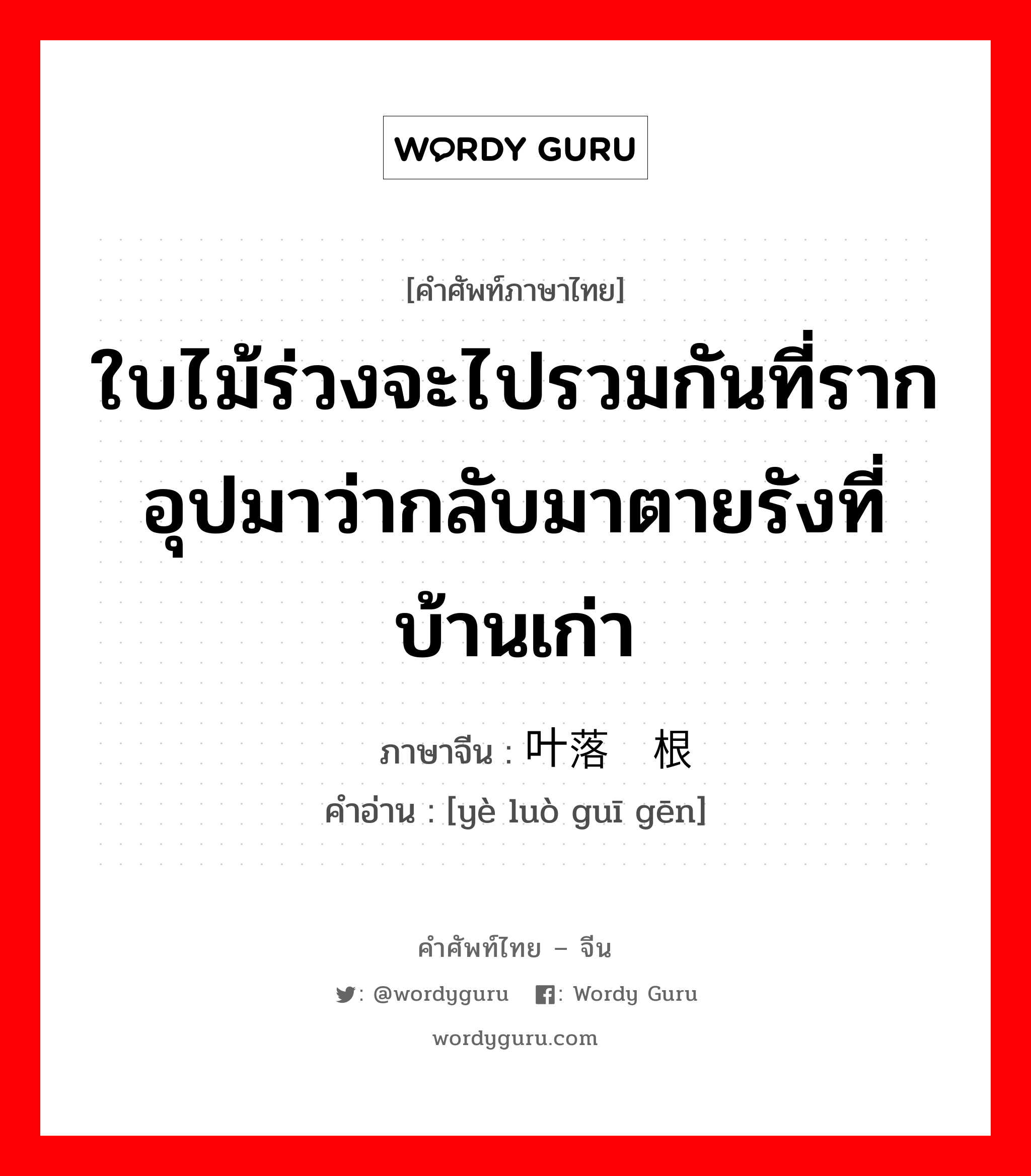 ใบไม้ร่วงจะไปรวมกันที่ราก อุปมาว่ากลับมาตายรังที่บ้านเก่า ภาษาจีนคืออะไร, คำศัพท์ภาษาไทย - จีน ใบไม้ร่วงจะไปรวมกันที่ราก อุปมาว่ากลับมาตายรังที่บ้านเก่า ภาษาจีน 叶落归根 คำอ่าน [yè luò guī gēn]