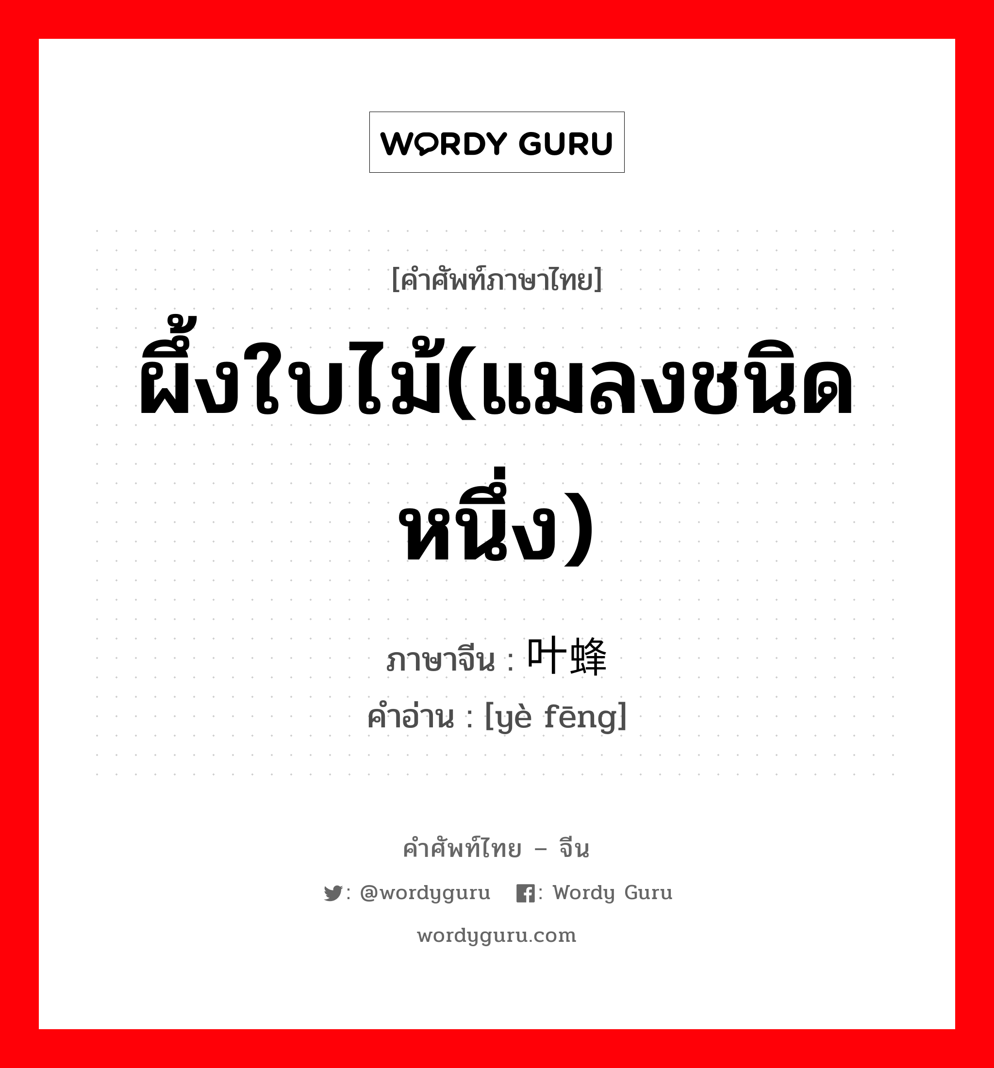 ผึ้งใบไม้(แมลงชนิดหนึ่ง) ภาษาจีนคืออะไร, คำศัพท์ภาษาไทย - จีน ผึ้งใบไม้(แมลงชนิดหนึ่ง) ภาษาจีน 叶蜂 คำอ่าน [yè fēng]