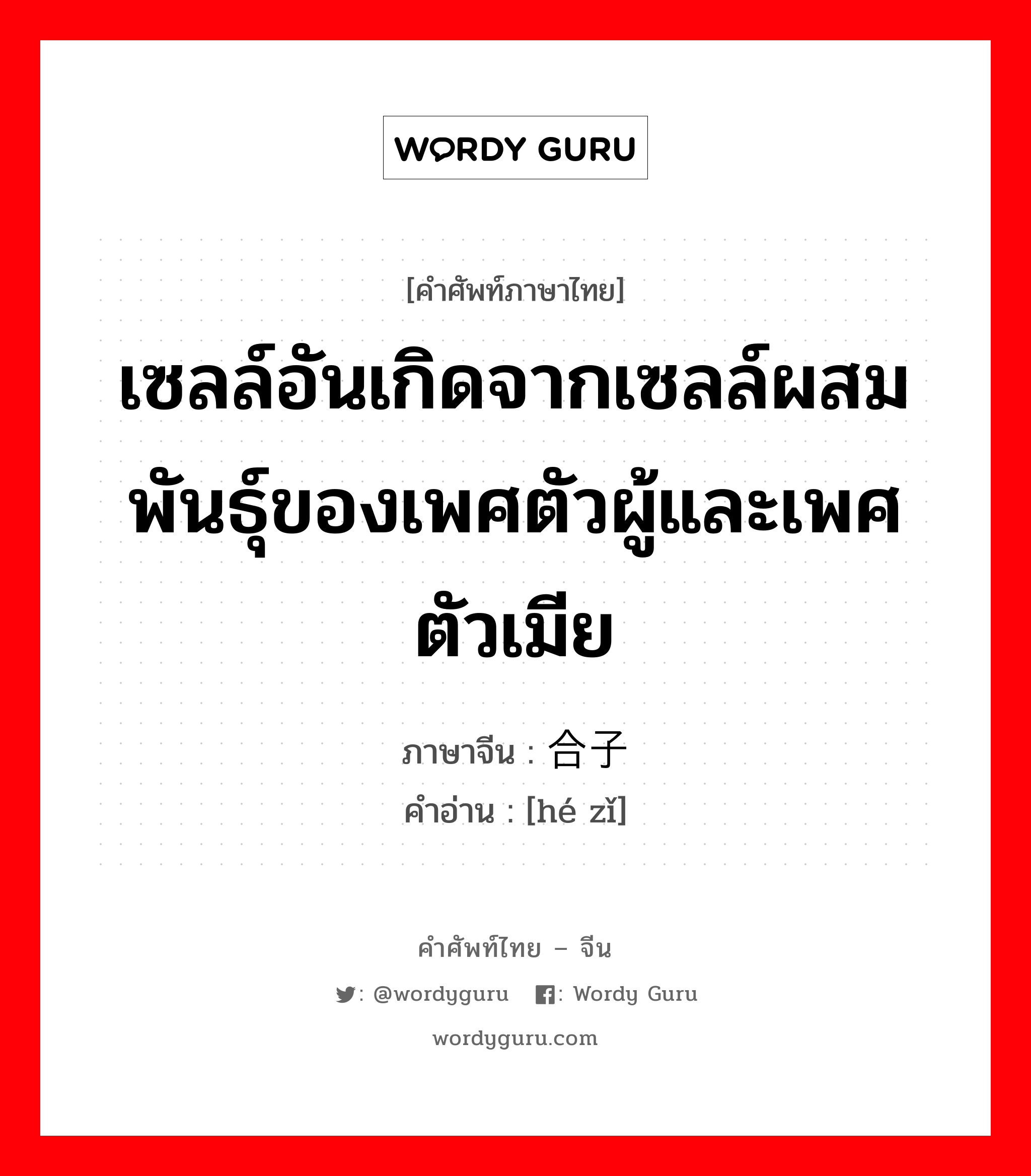 เซลล์อันเกิดจากเซลล์ผสมพันธุ์ของเพศตัวผู้และเพศตัวเมีย ภาษาจีนคืออะไร, คำศัพท์ภาษาไทย - จีน เซลล์อันเกิดจากเซลล์ผสมพันธุ์ของเพศตัวผู้และเพศตัวเมีย ภาษาจีน 合子 คำอ่าน [hé zǐ]