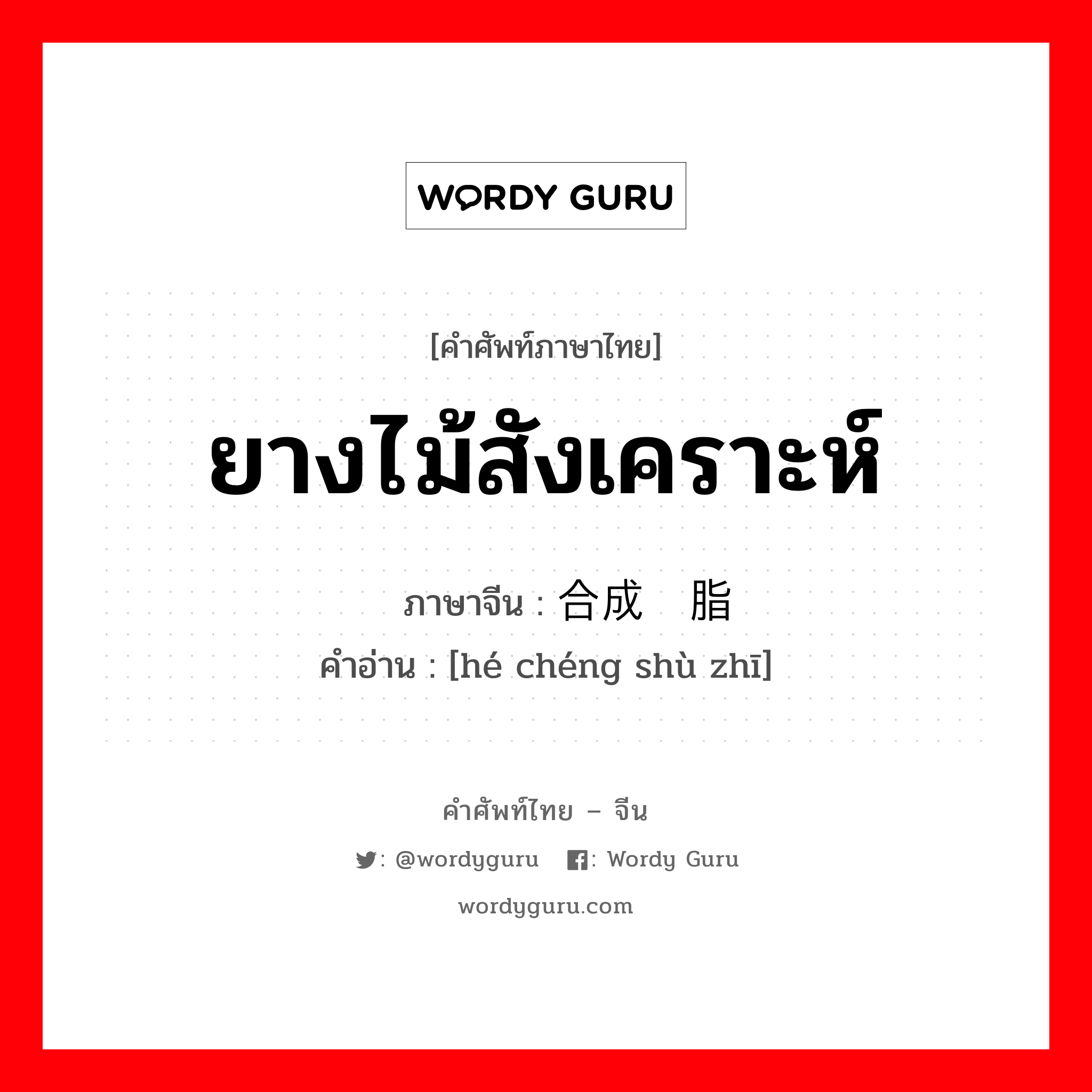 ยางไม้สังเคราะห์ ภาษาจีนคืออะไร, คำศัพท์ภาษาไทย - จีน ยางไม้สังเคราะห์ ภาษาจีน 合成树脂 คำอ่าน [hé chéng shù zhī]